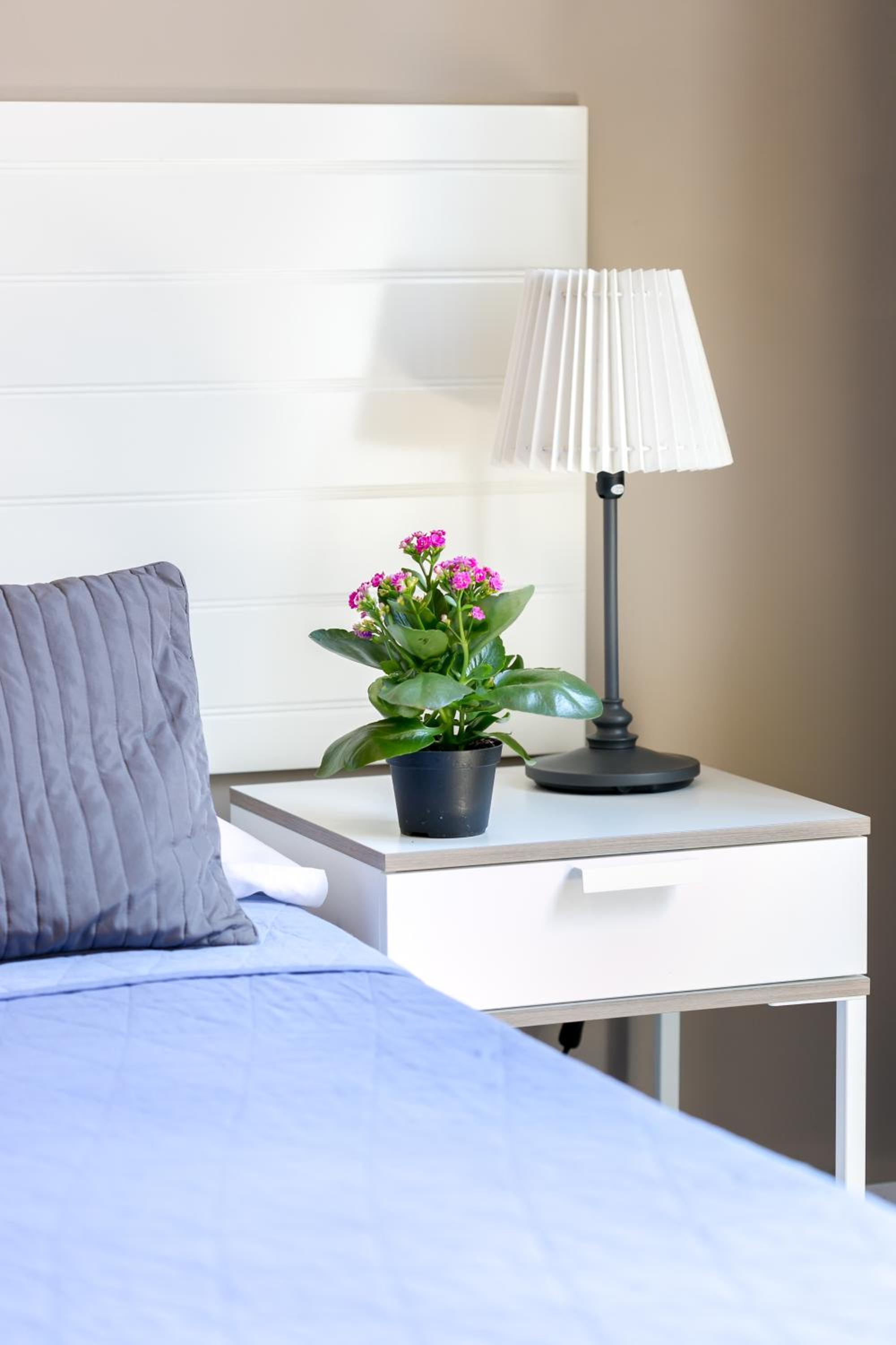 AmoRoma Suite