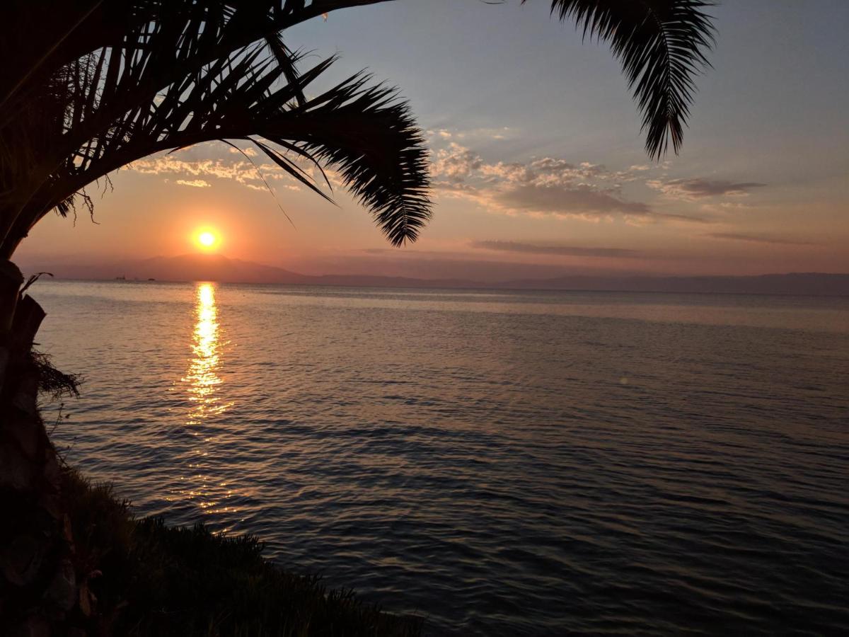 Golden Sunset photo 2