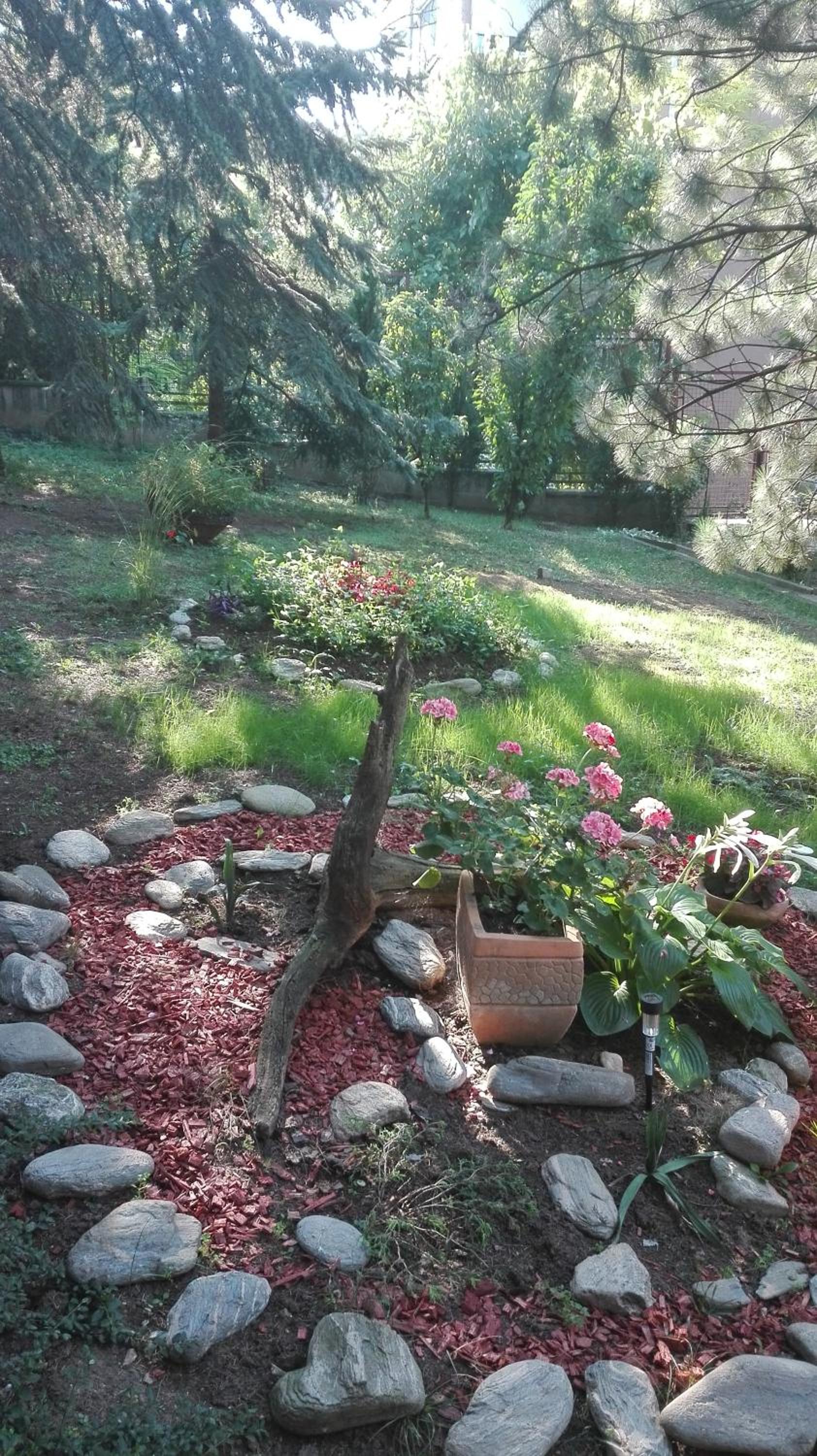 Photo 10