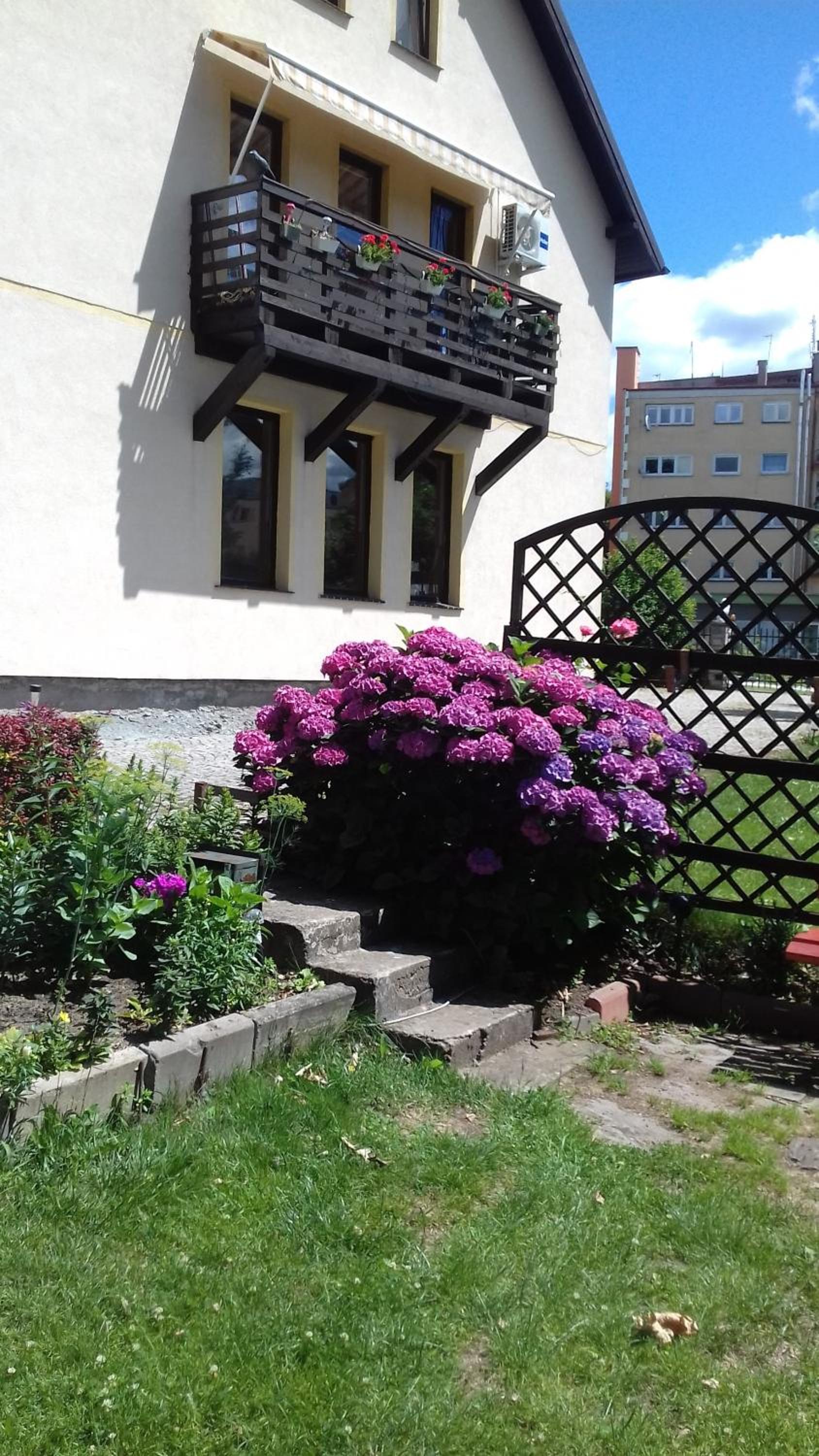 Photo 39