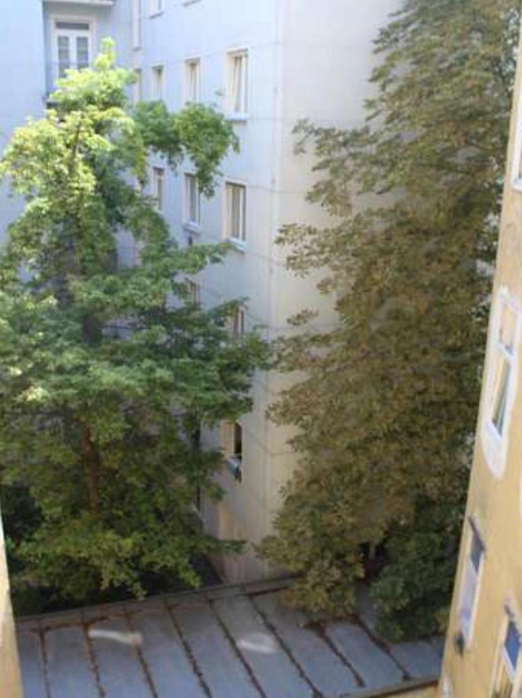 Top Apartment nahe Zentrum