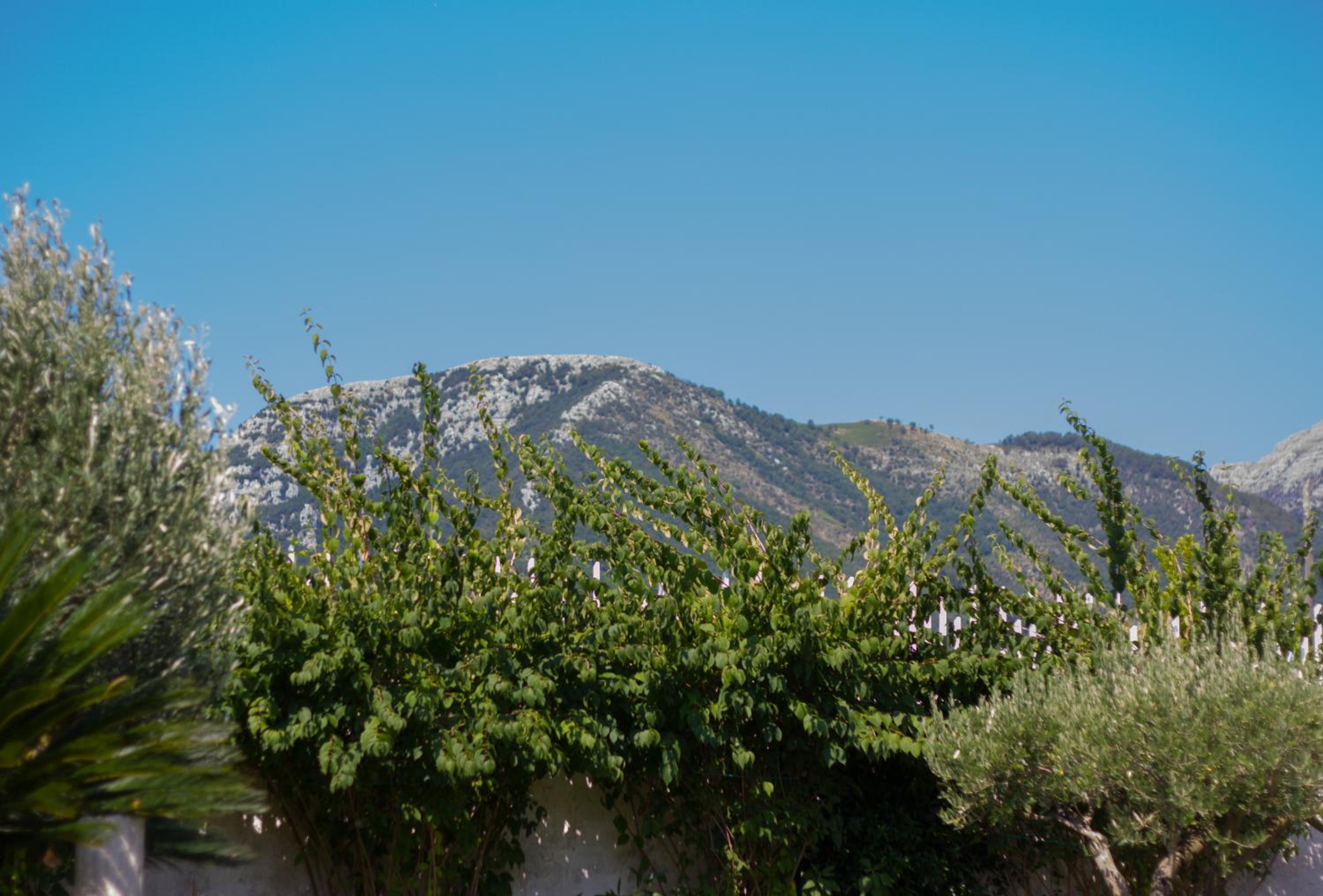 Photo 48