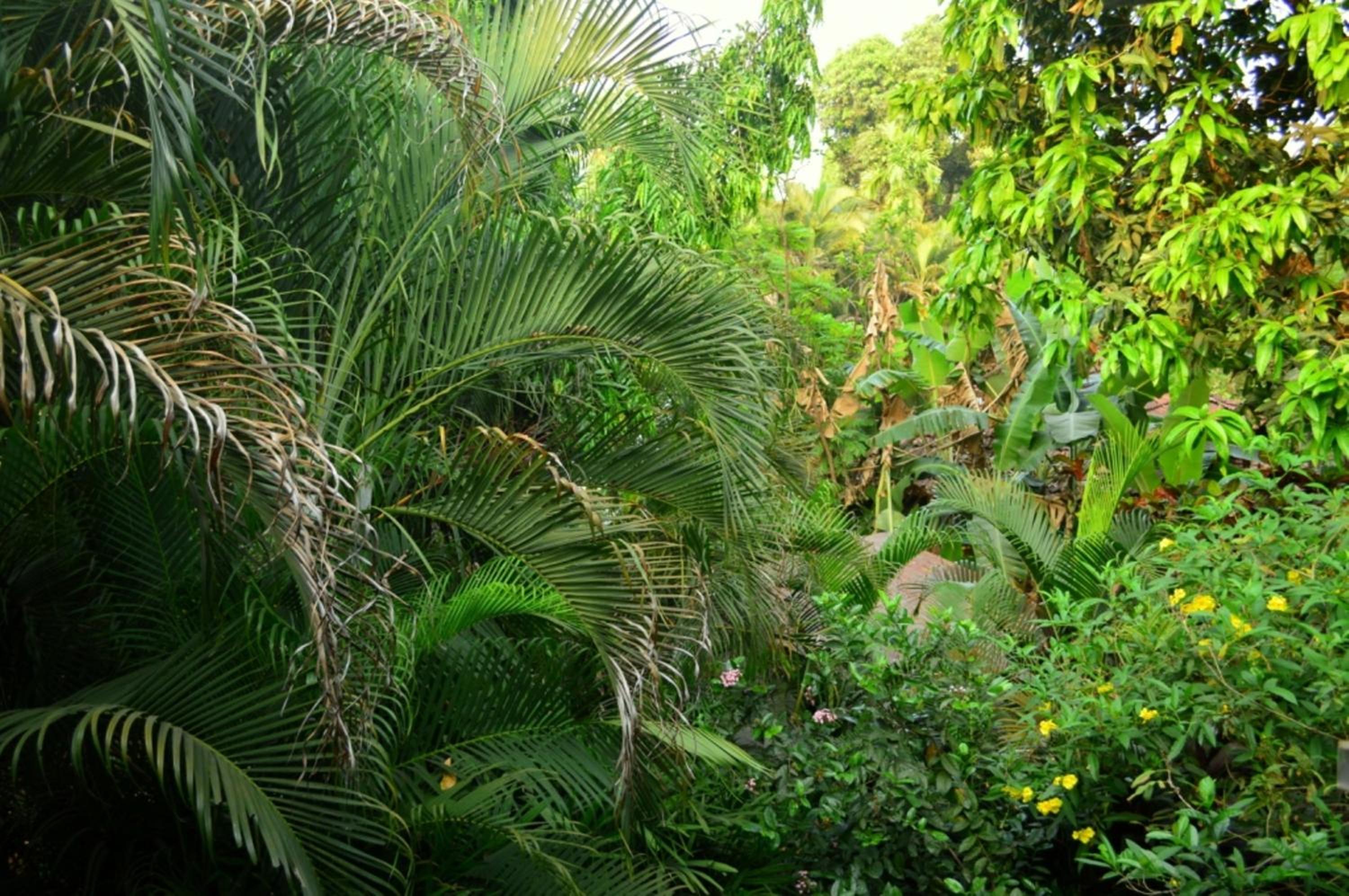 Photo 45
