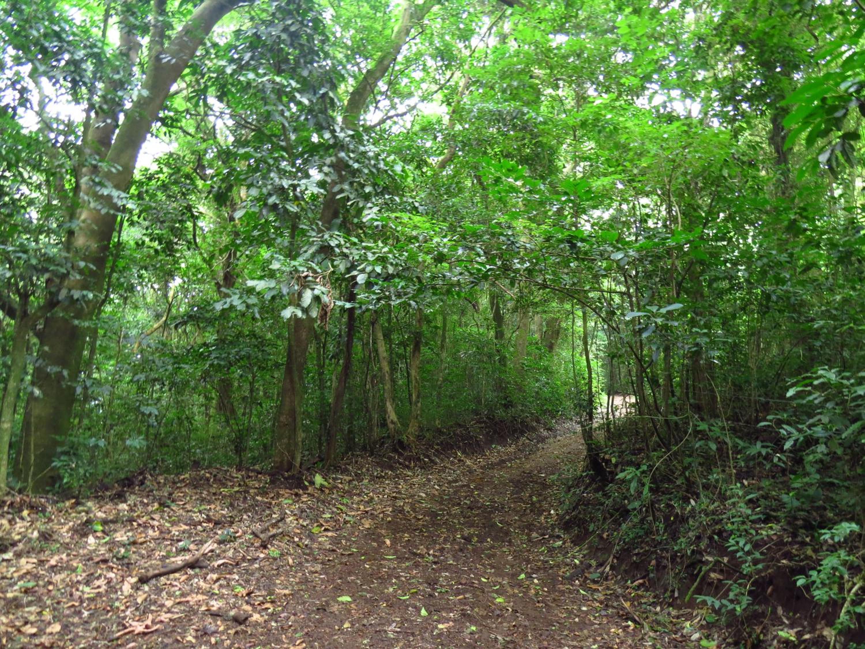 Photo 21