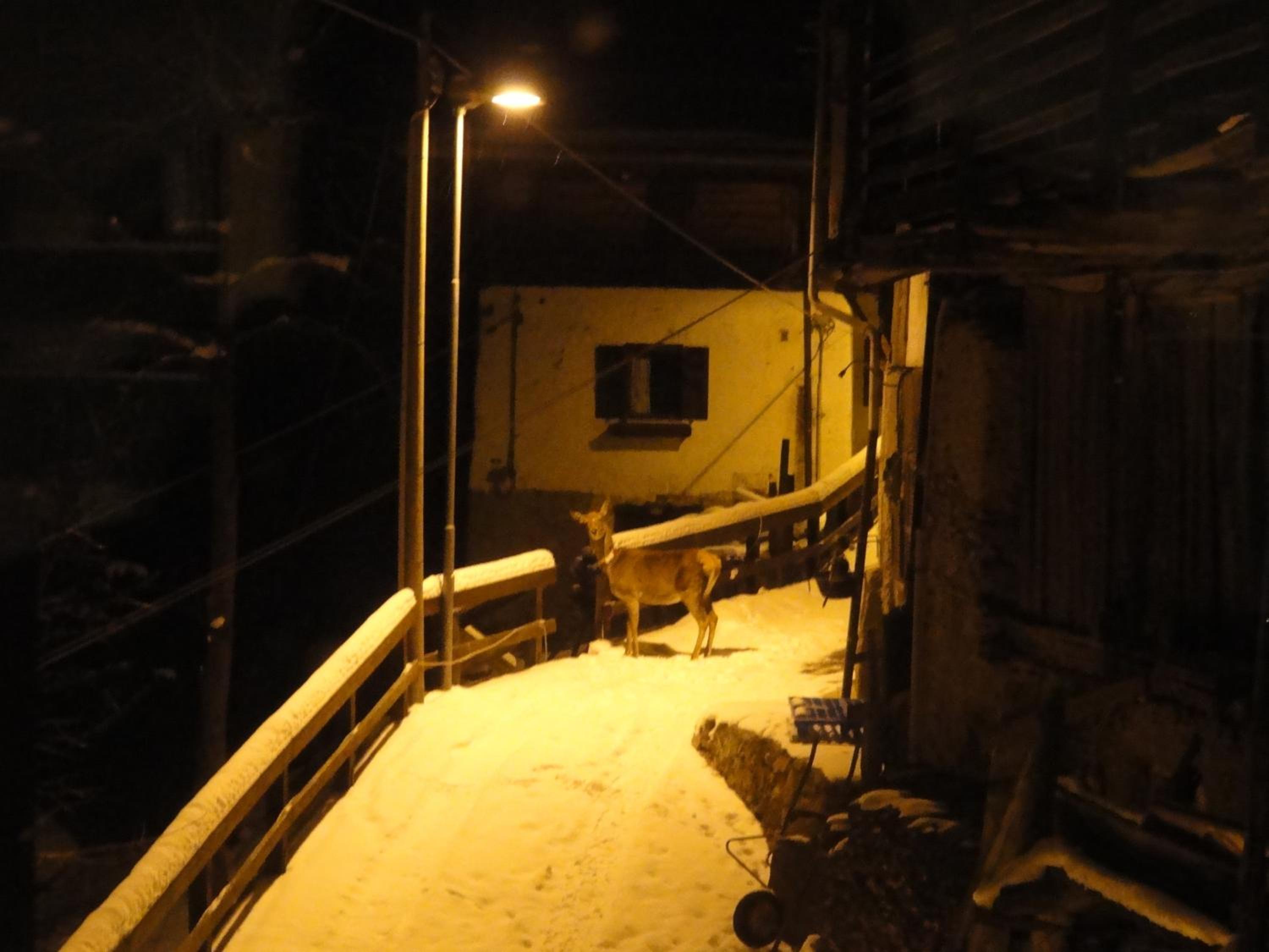 Photo 17