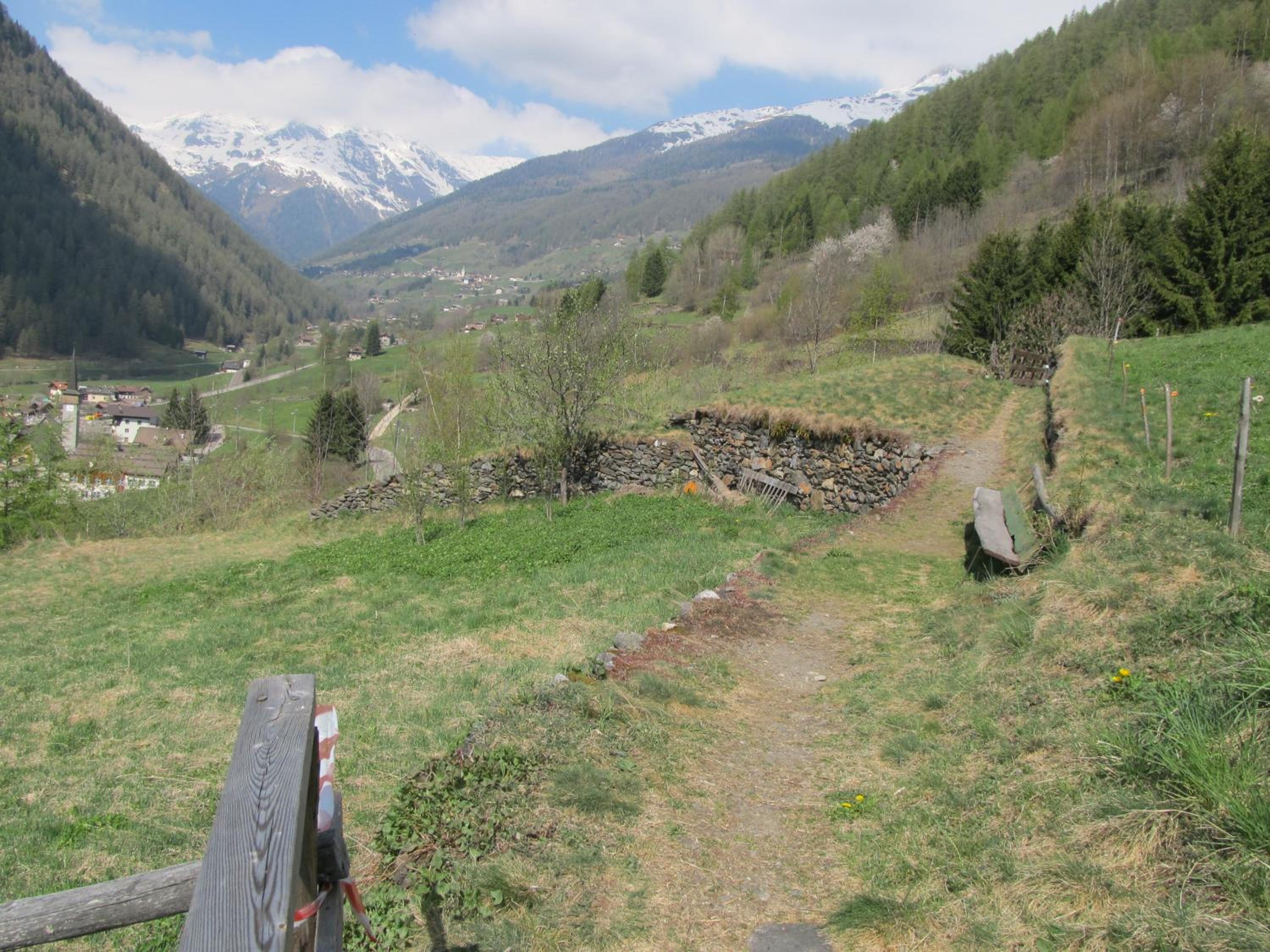Photo 28