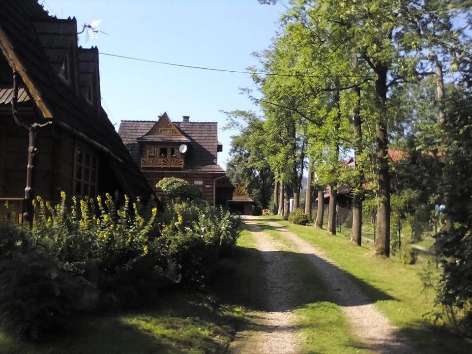 Photo 37