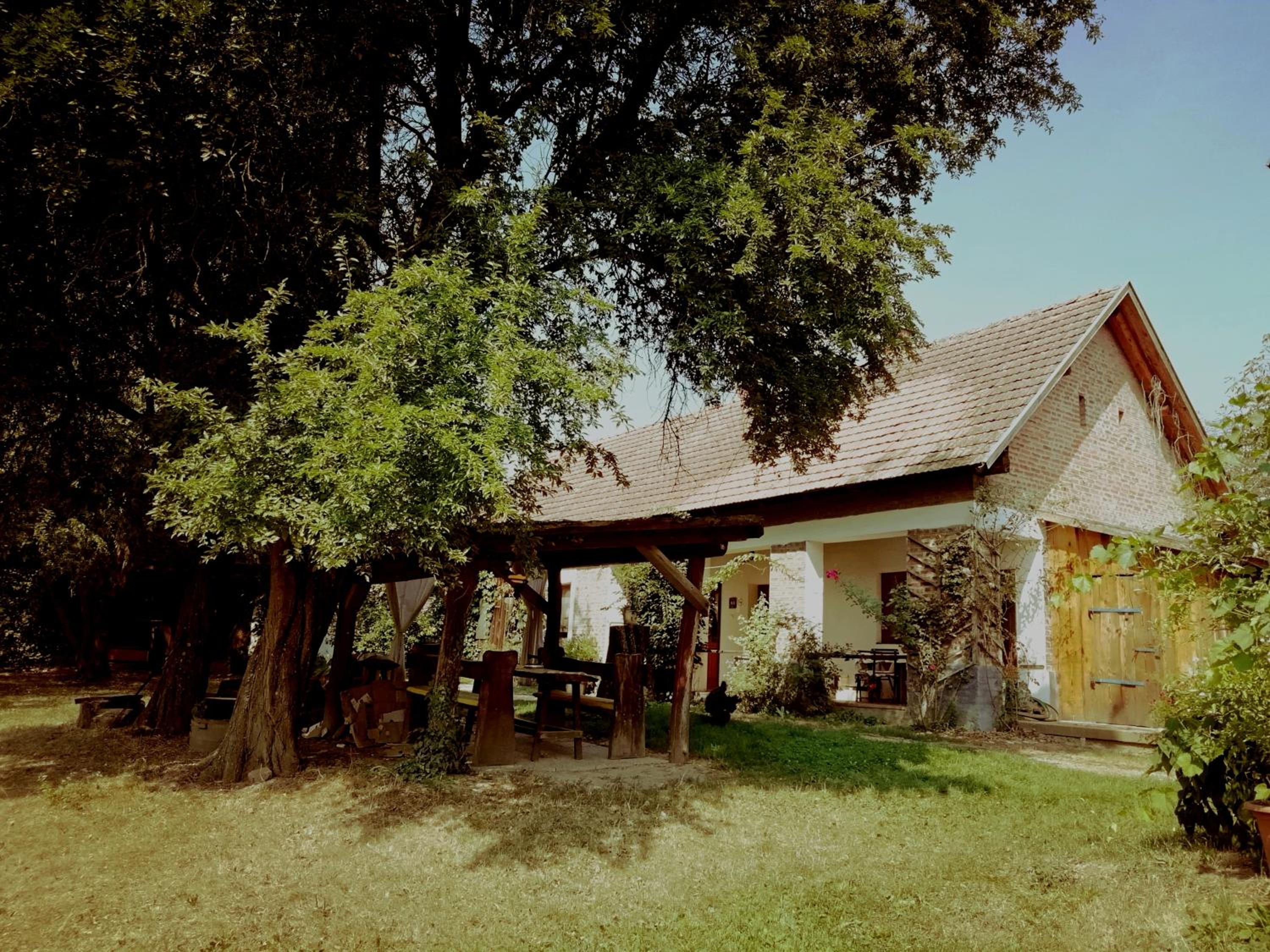 Photo 42