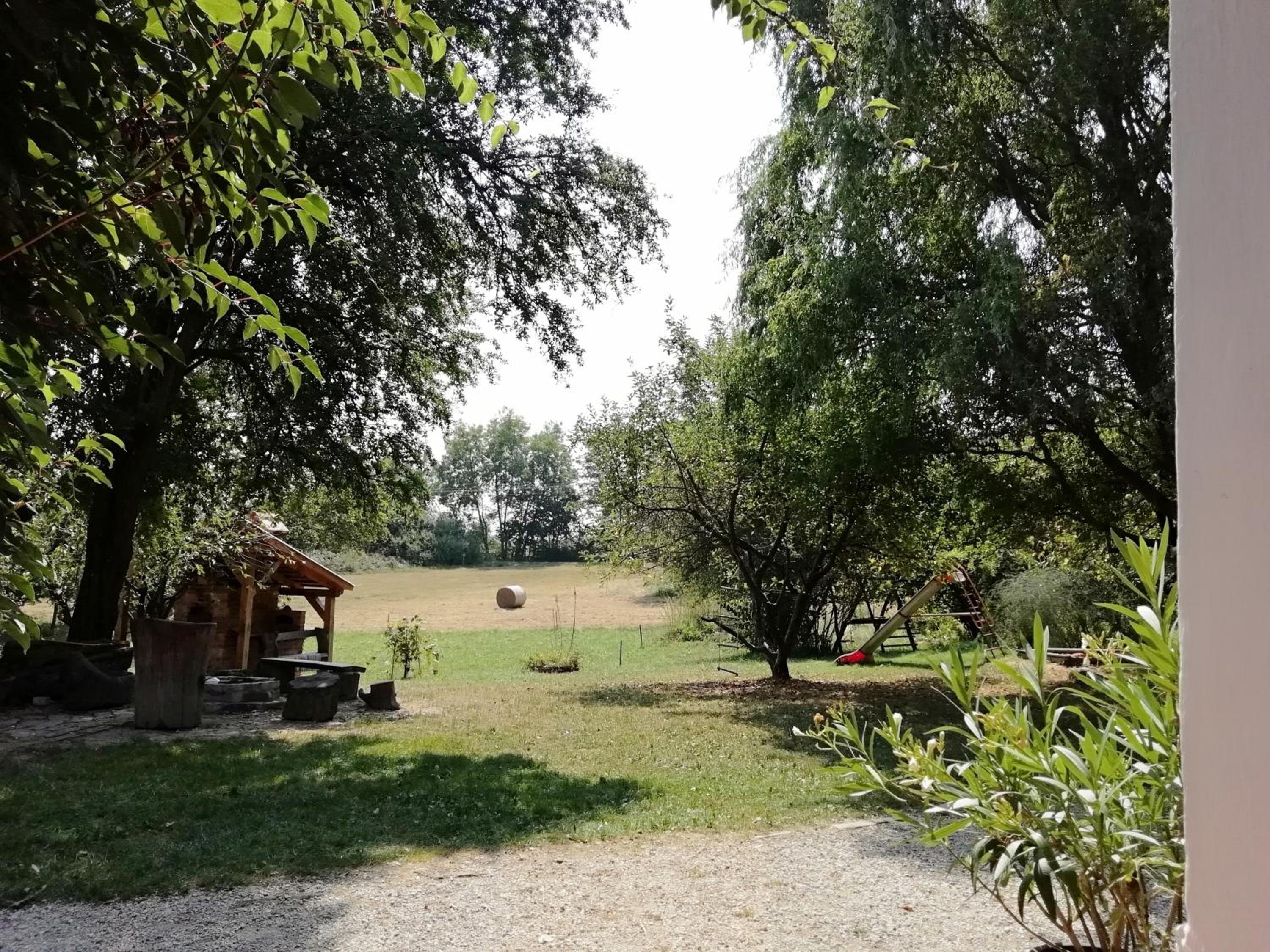Photo 43