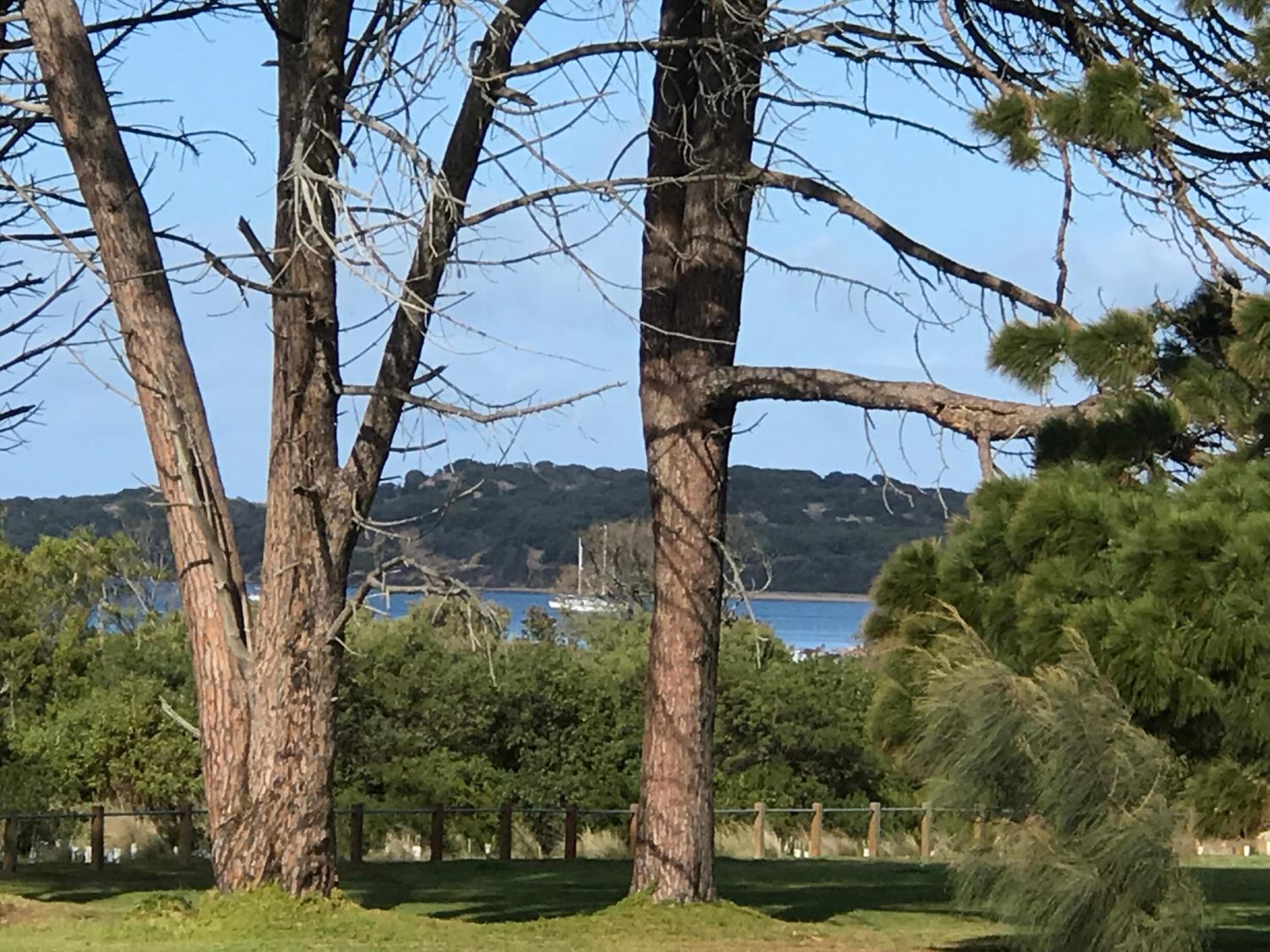 Bunya By The Sea