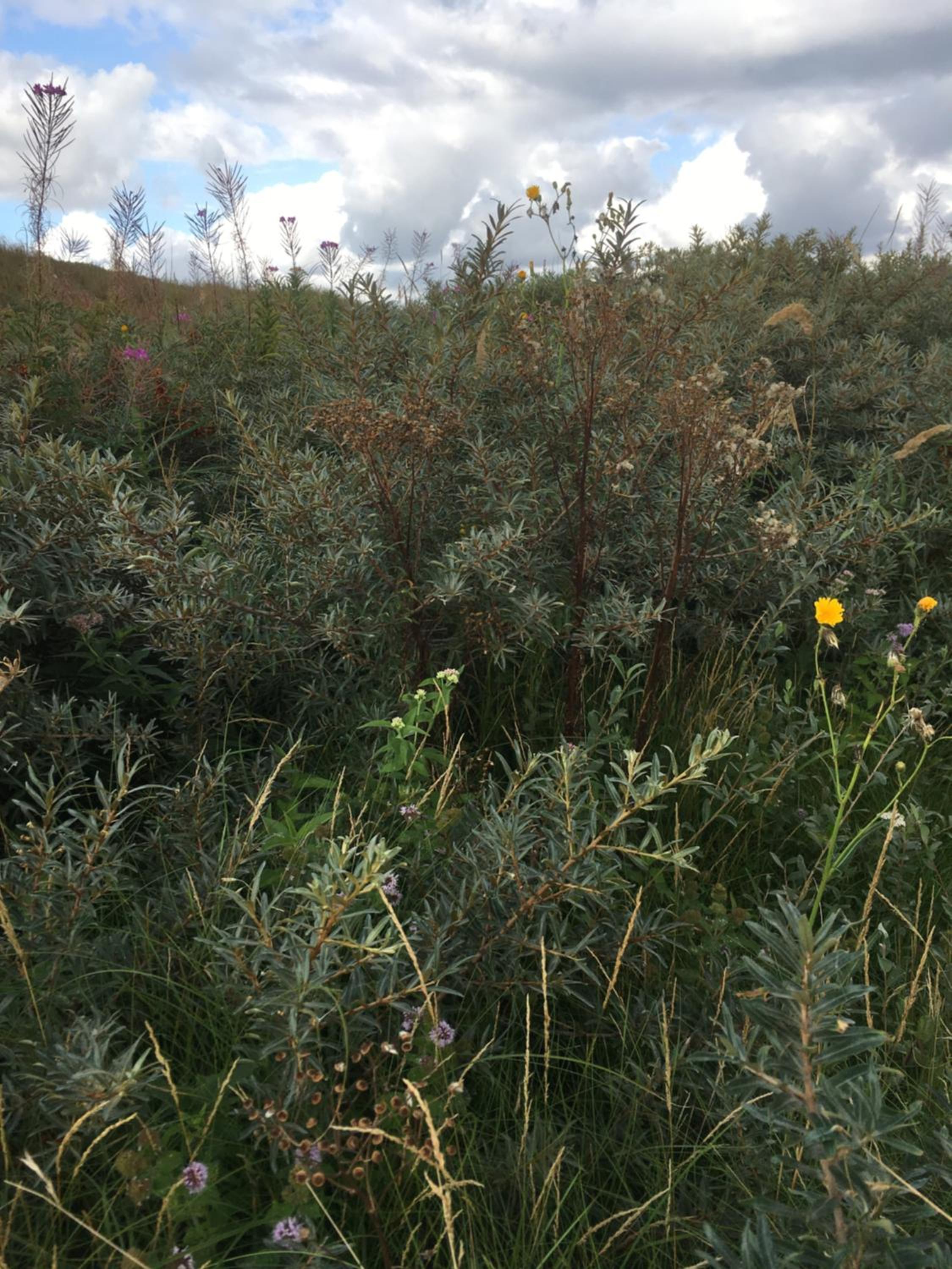 Photo 28