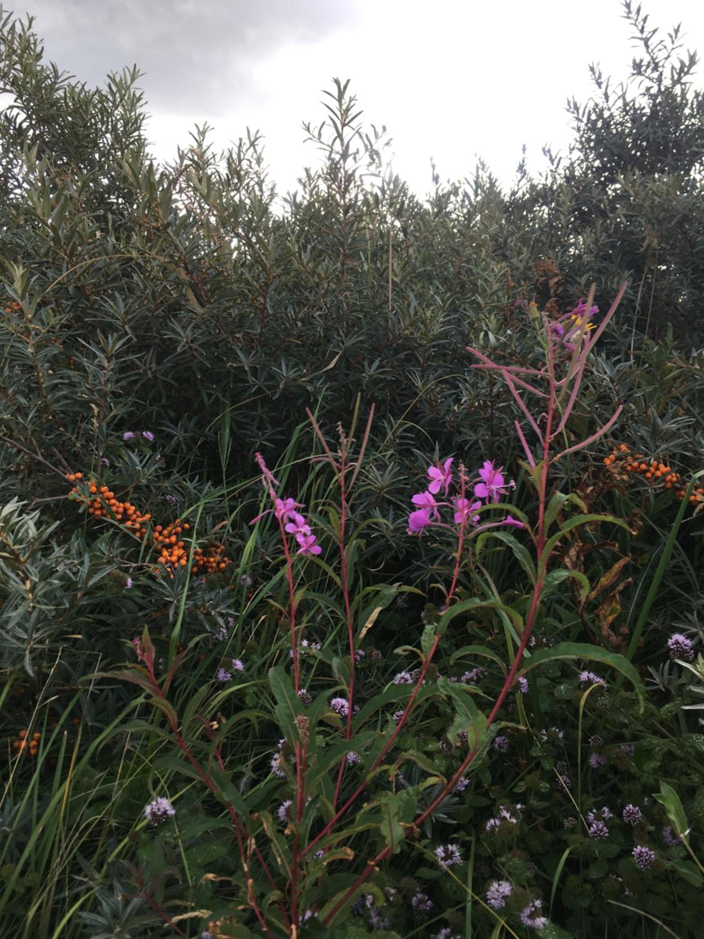 Photo 26