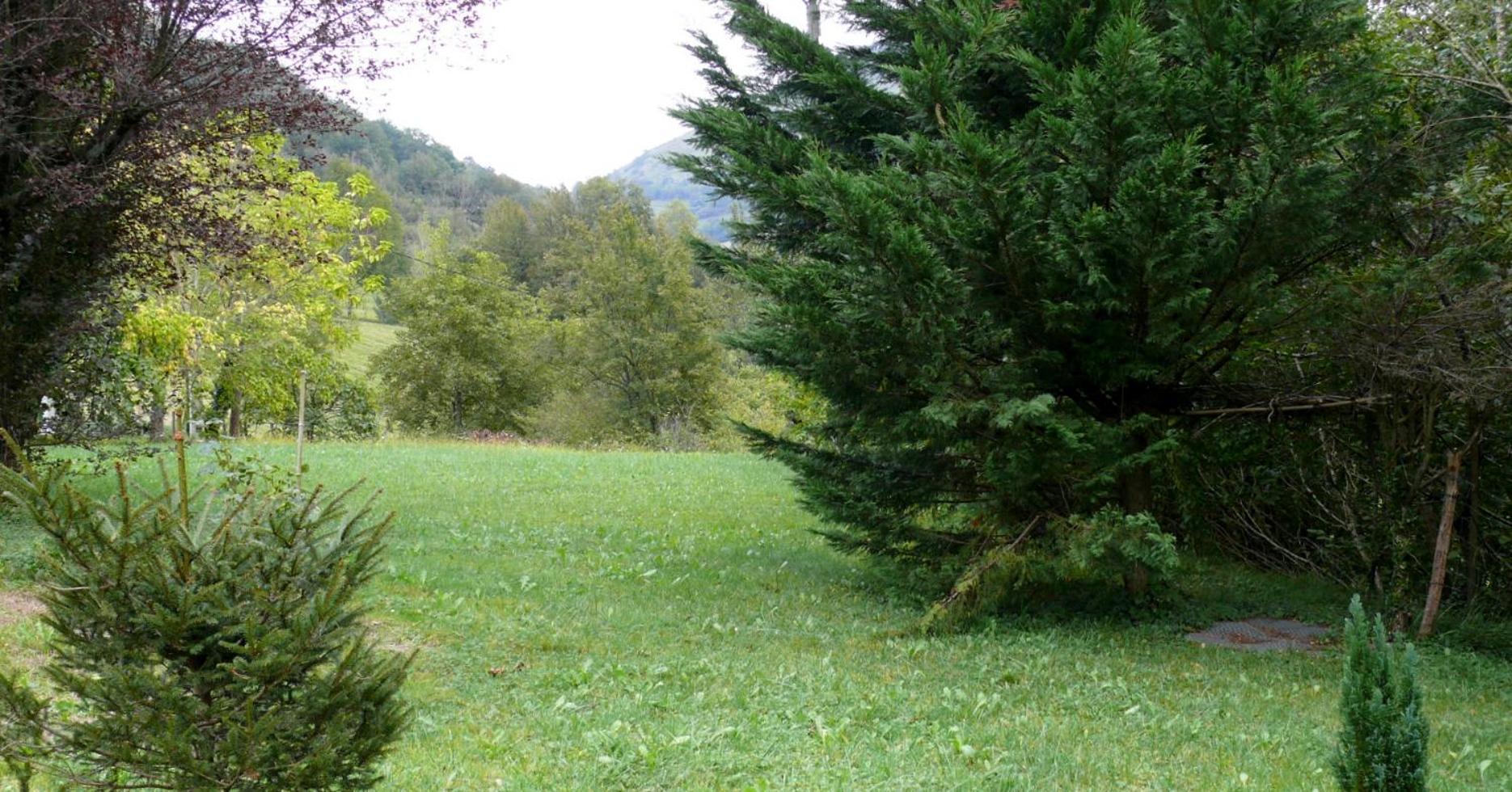 Photo 31