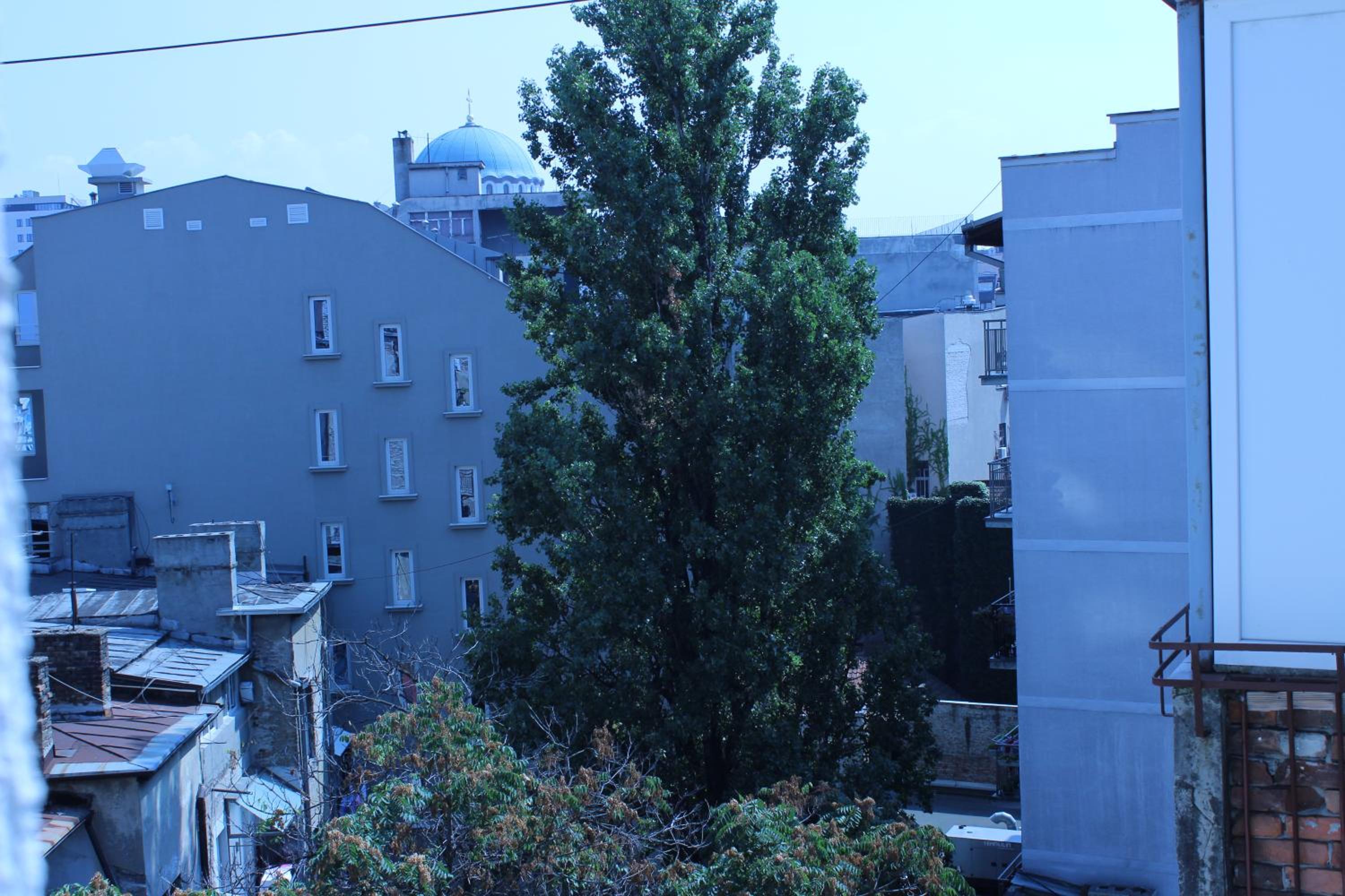 Photo 28