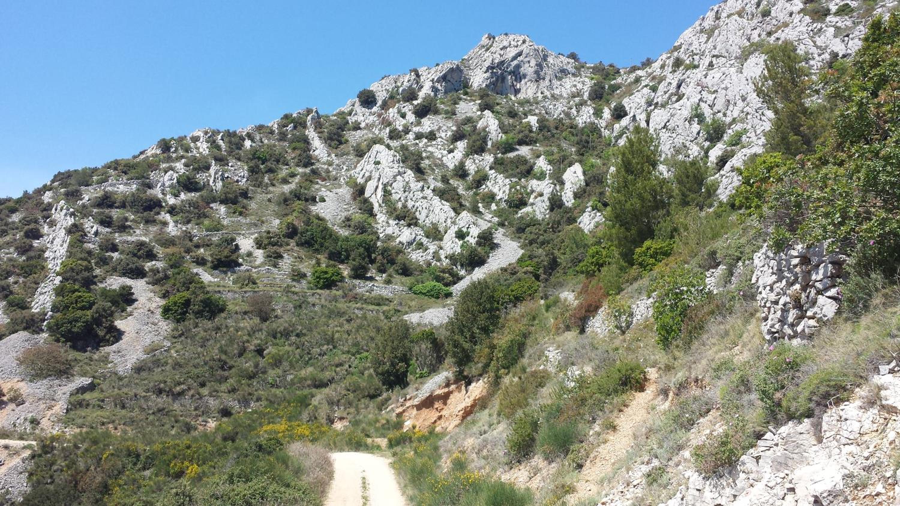 Photo 21