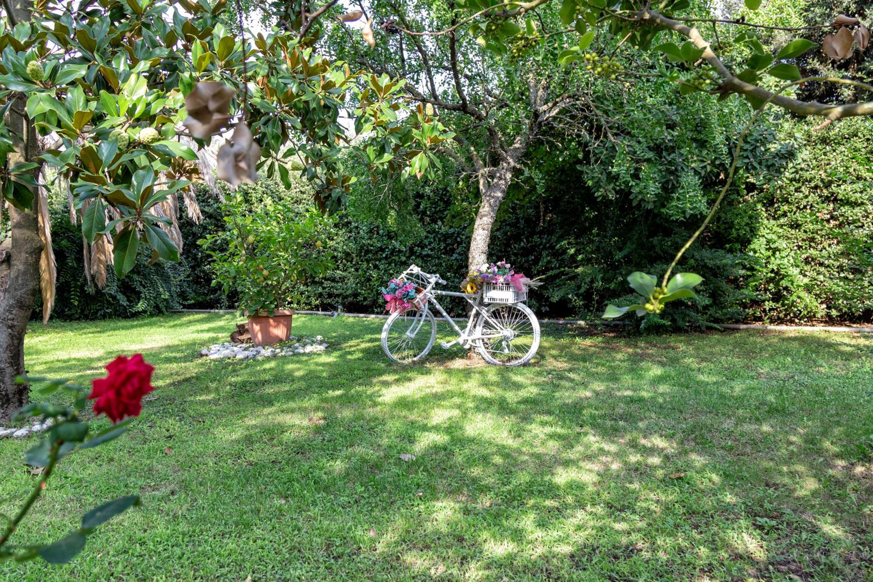 Photo 21