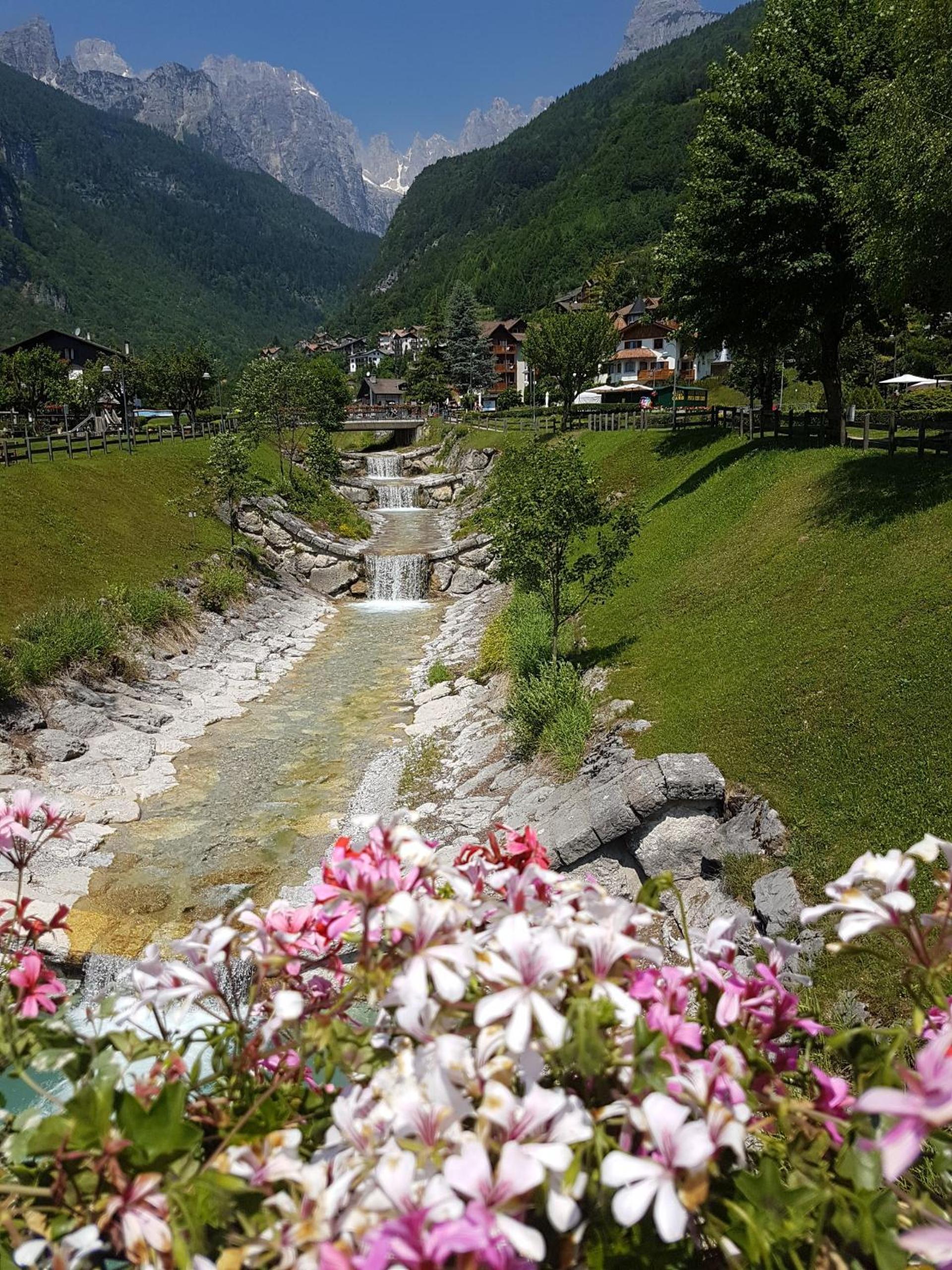 Photo 44