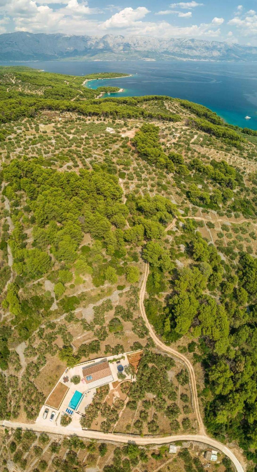 The Olive Tree Villa view 3