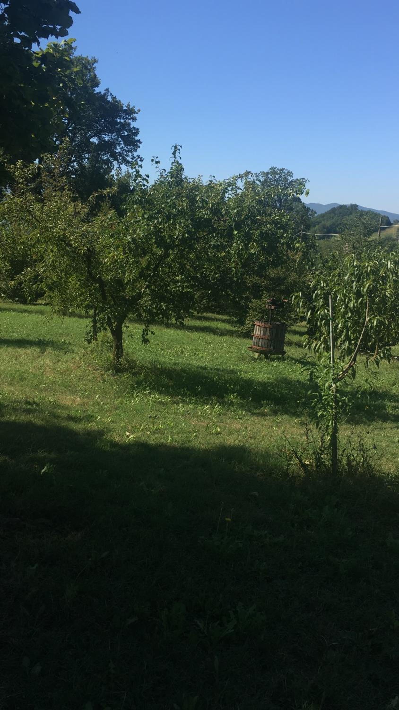 Idillio Country House