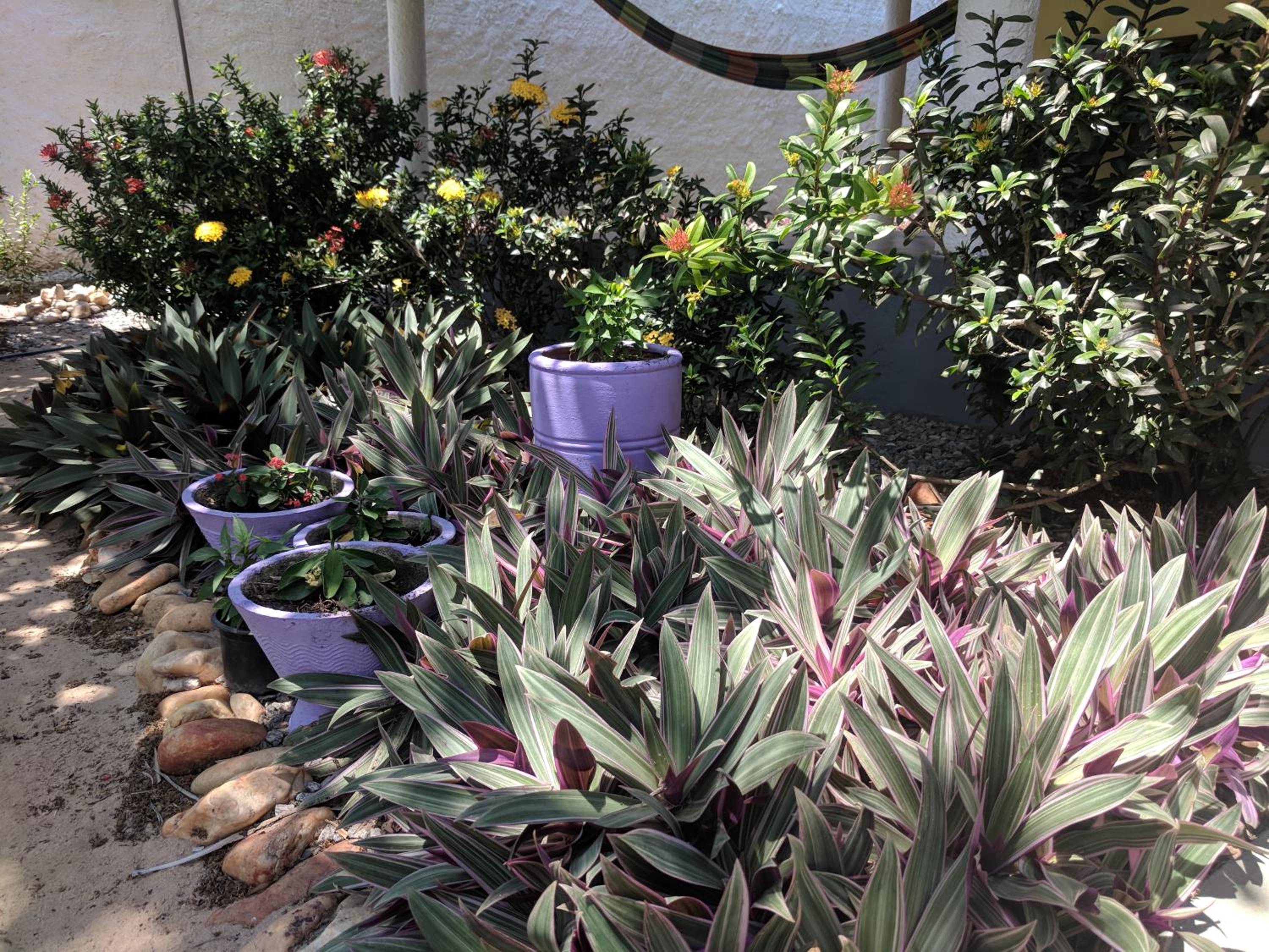 B&B Chalé Jardins