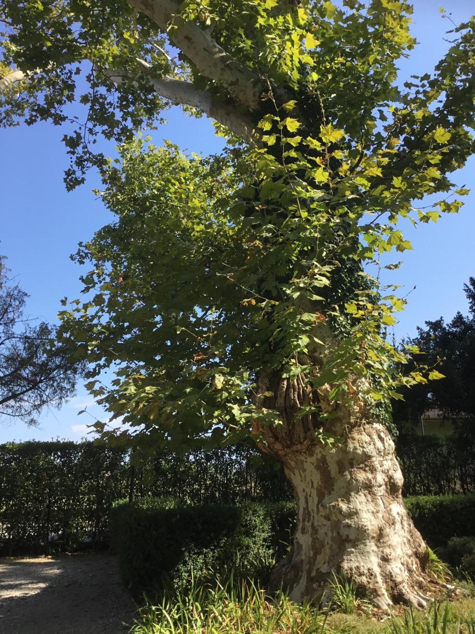 Photo 17