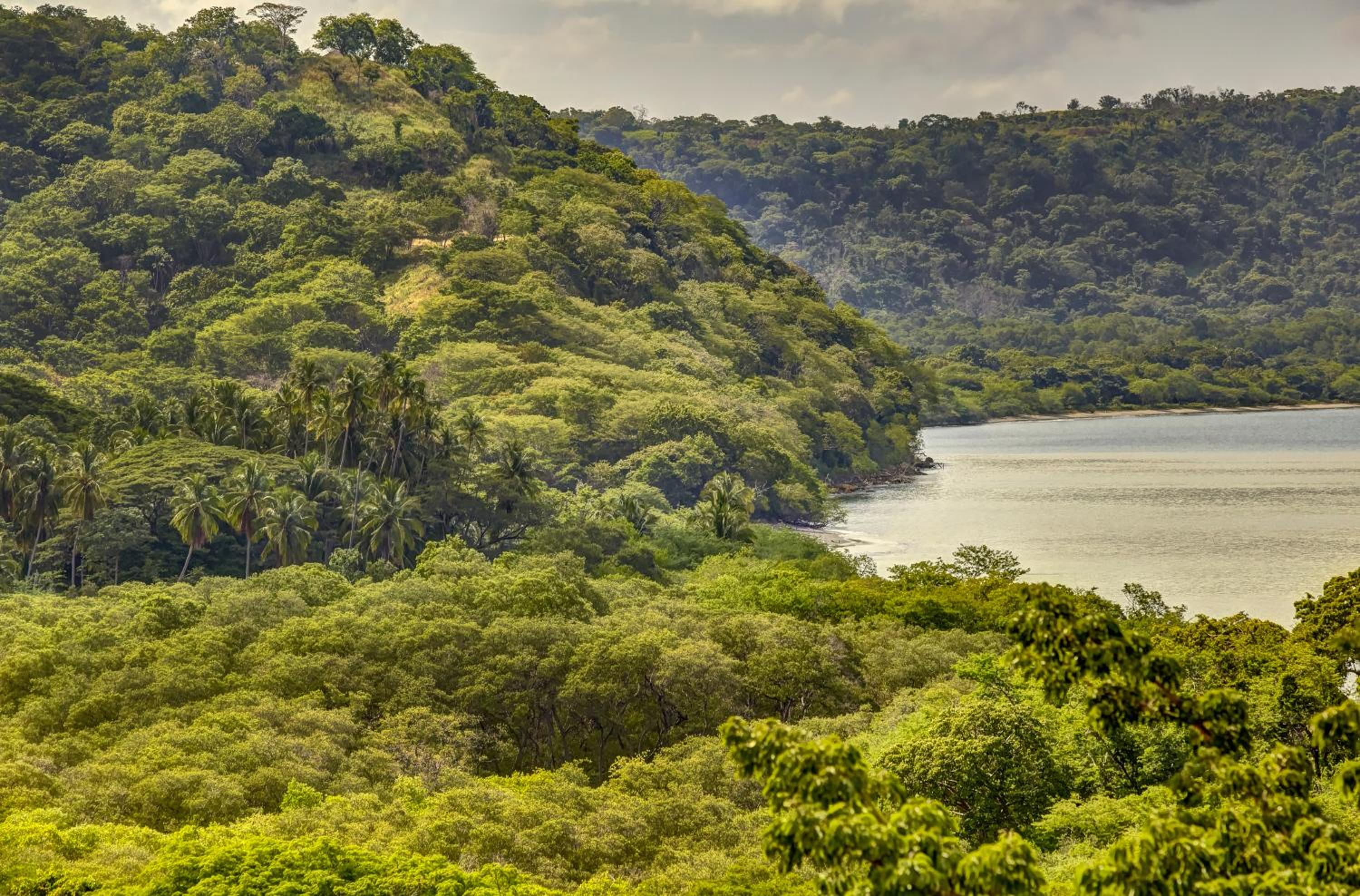 Planet Hollywood Costa Rica by Royalton, An Autograph Collection All-Inclusive Resort 199