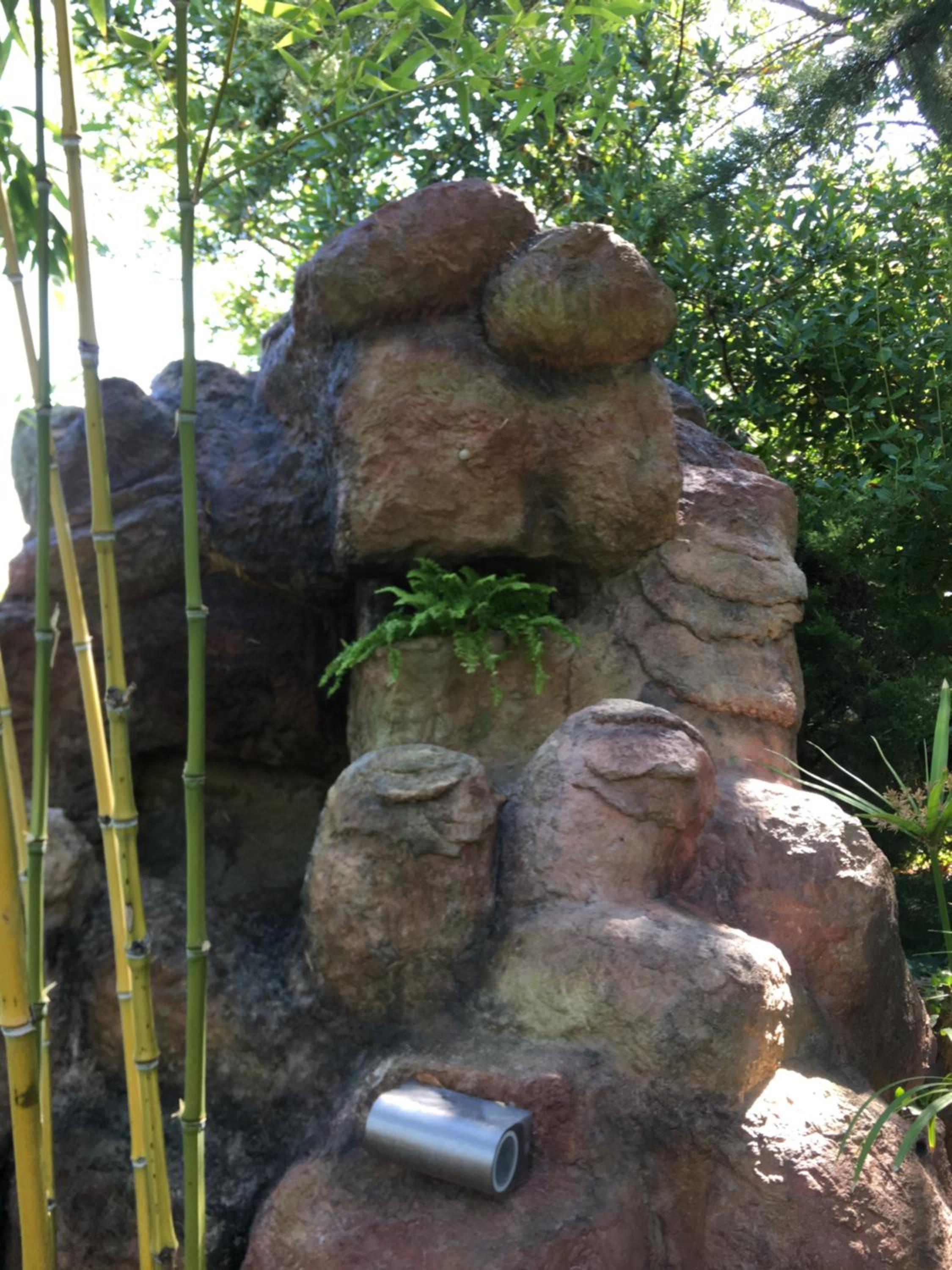 Photo 34