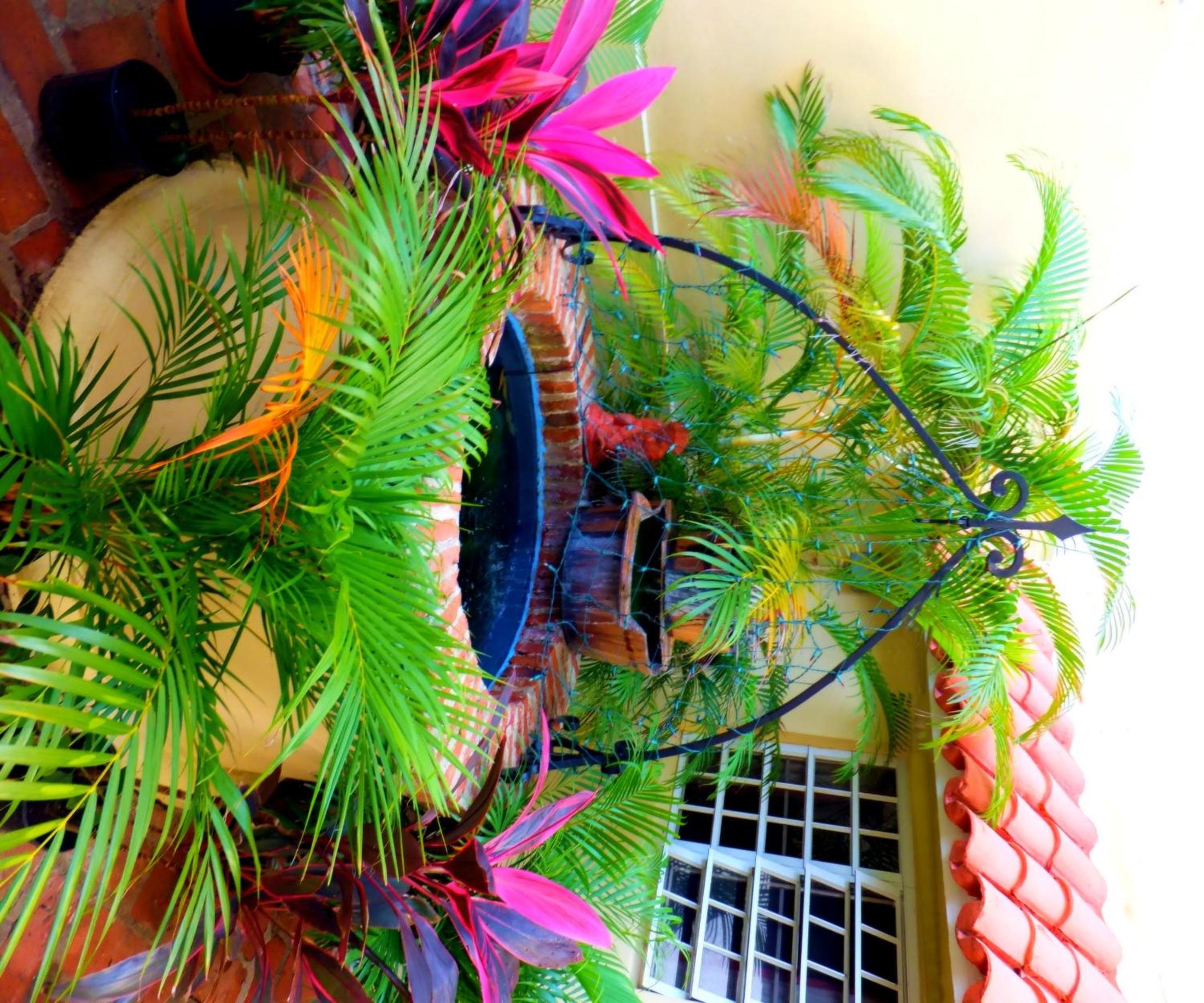 Canario Boutique Hotel - Property Image 16