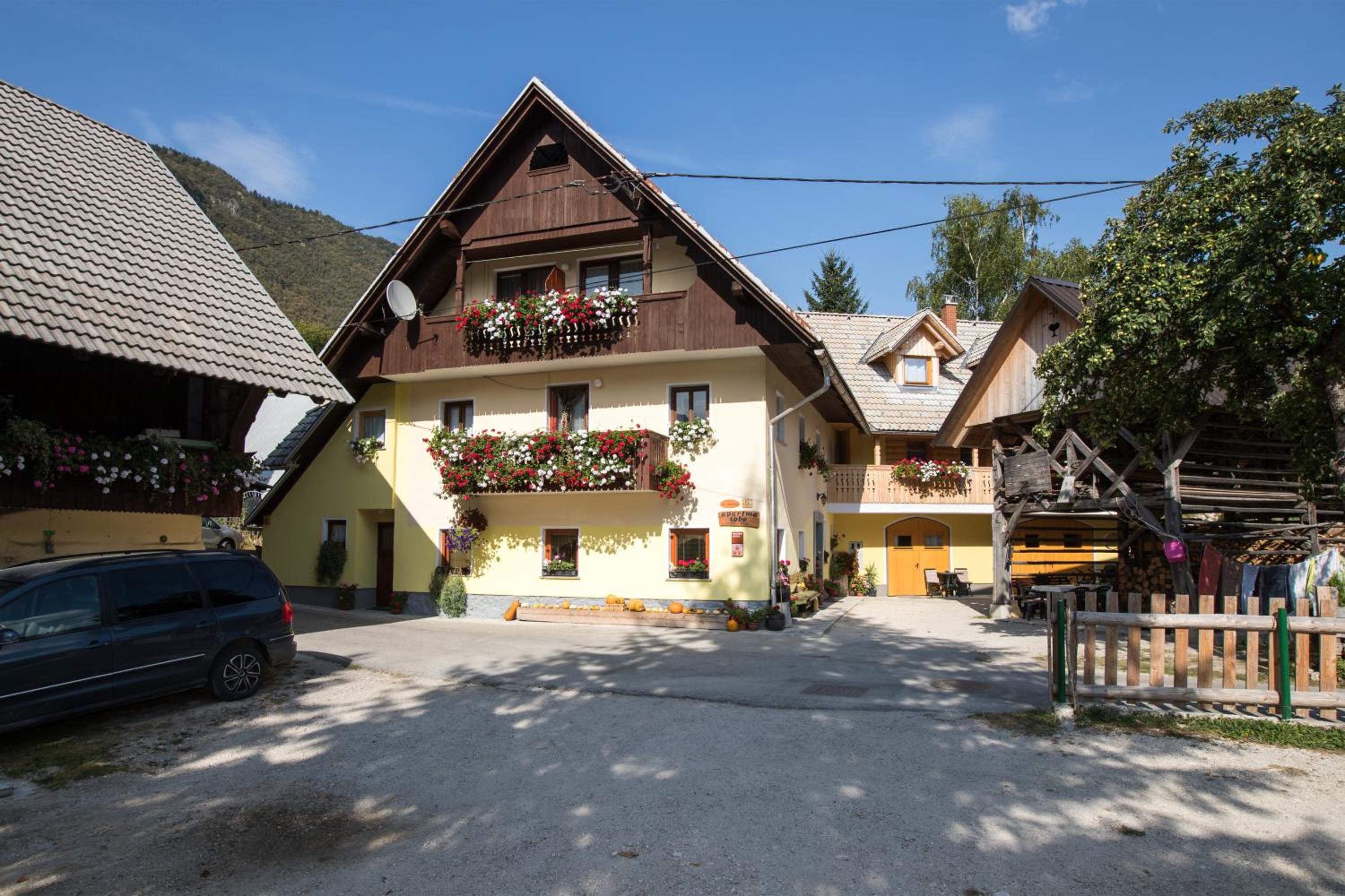 Farmhouse pri Miklavu view 3
