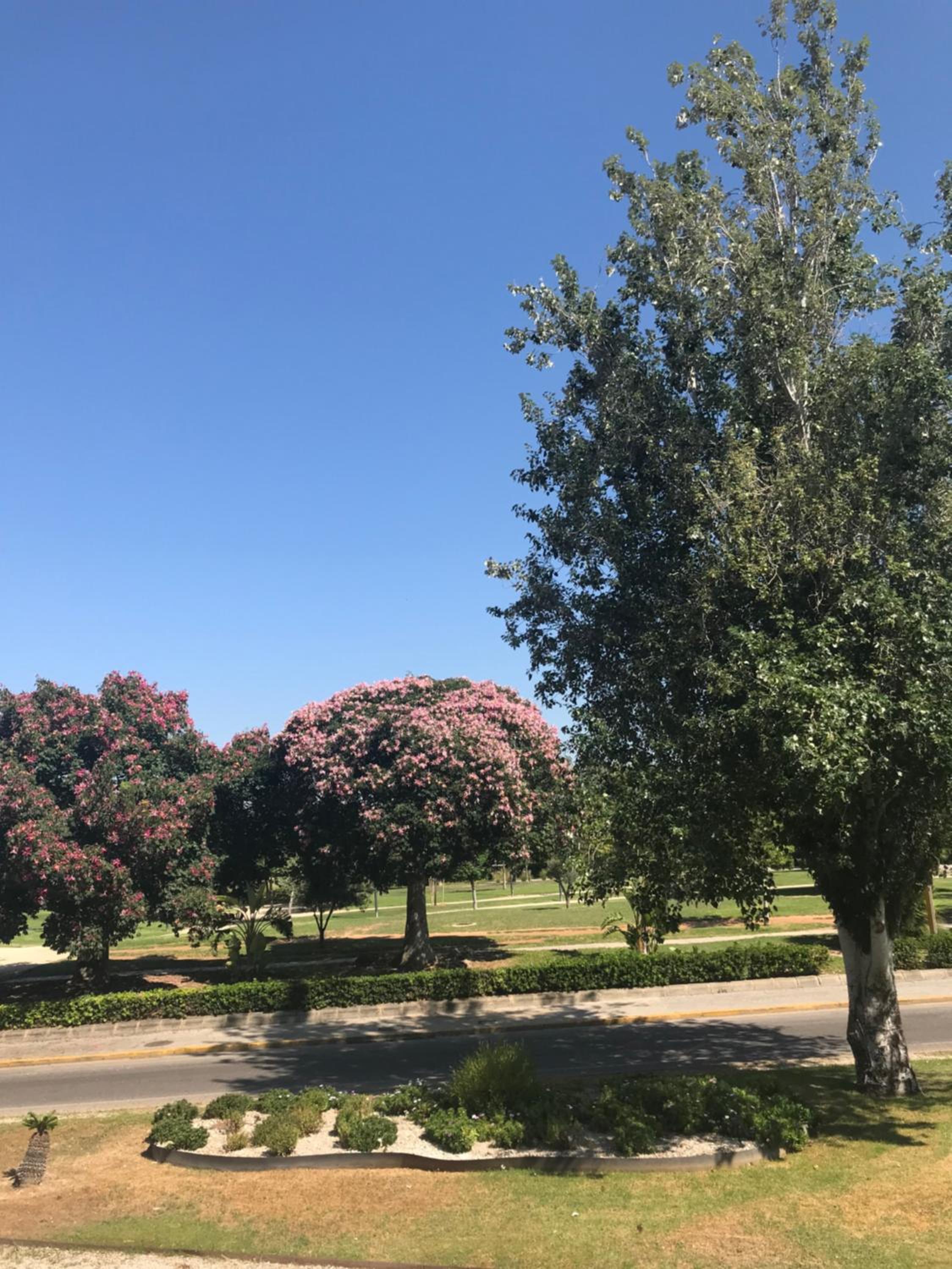 Plaza Sainetero Arniches