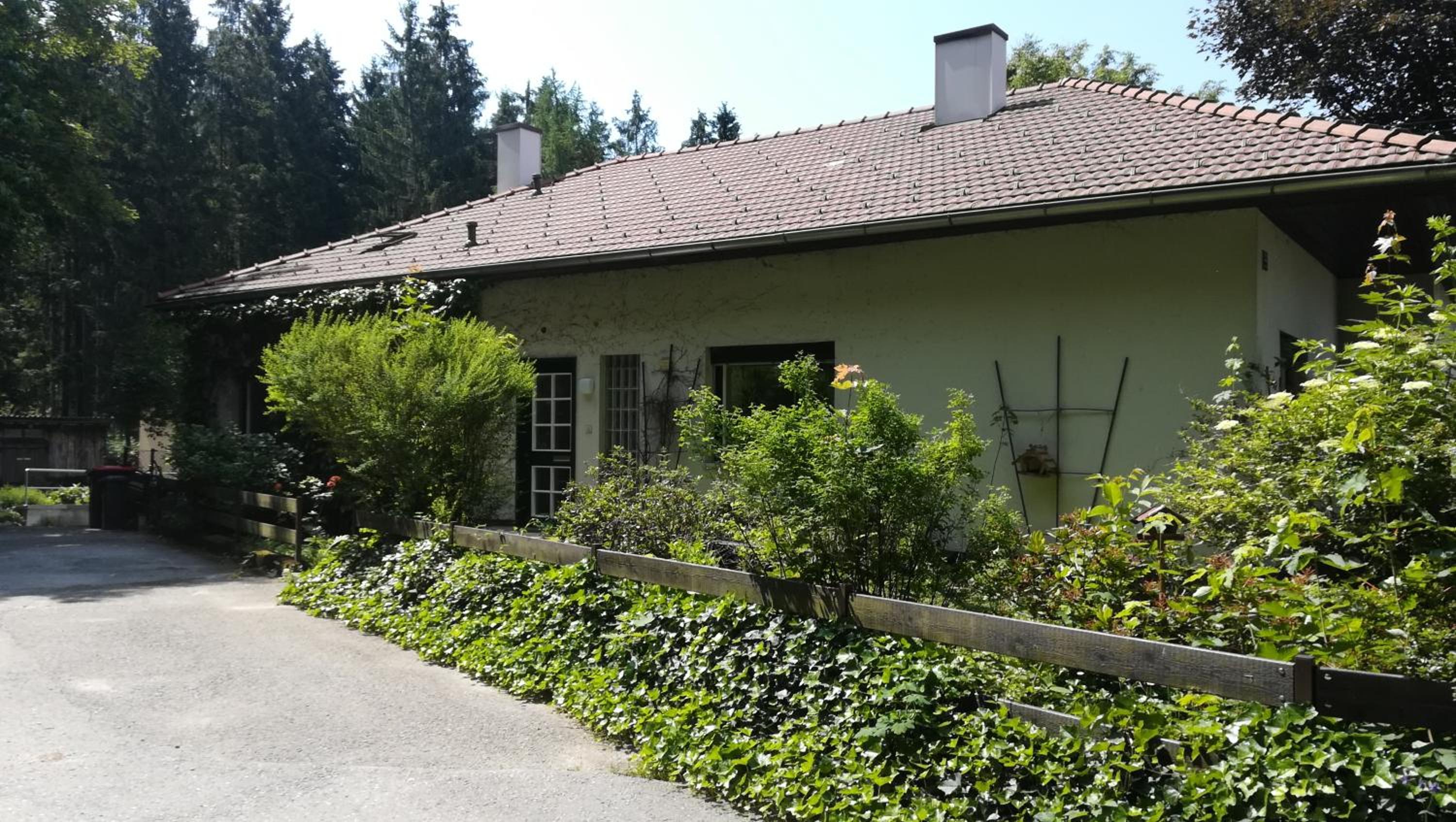 Ferienhaus am Waldrand