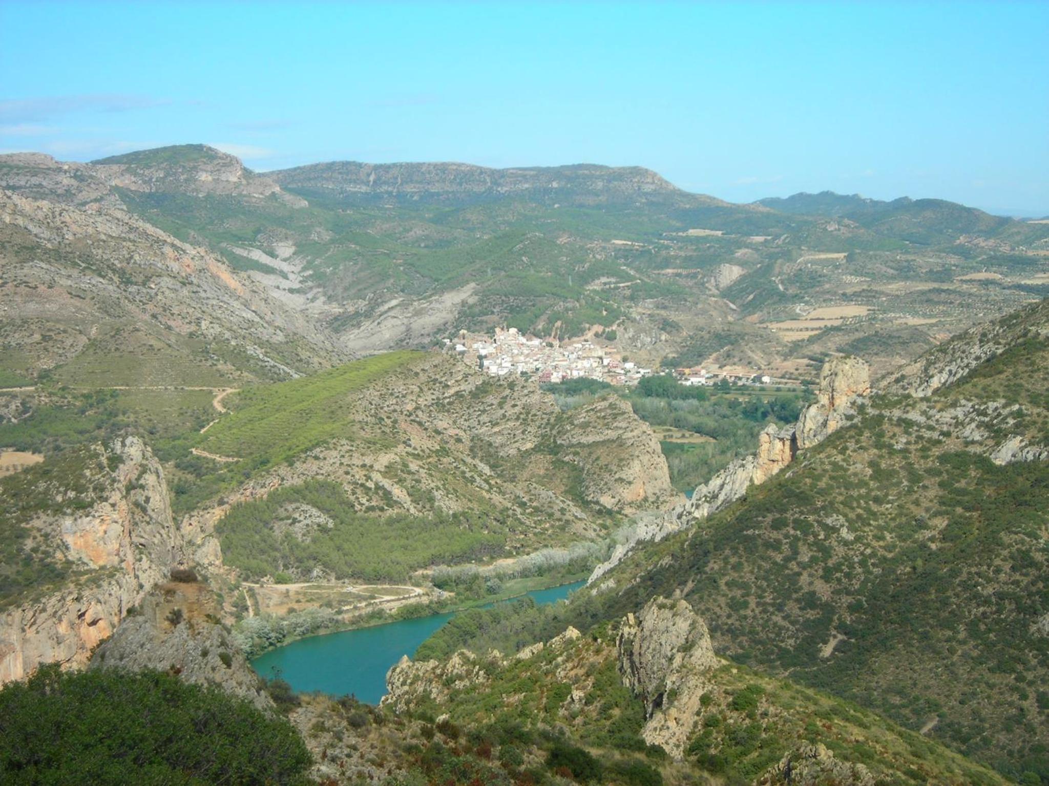 Photo 7