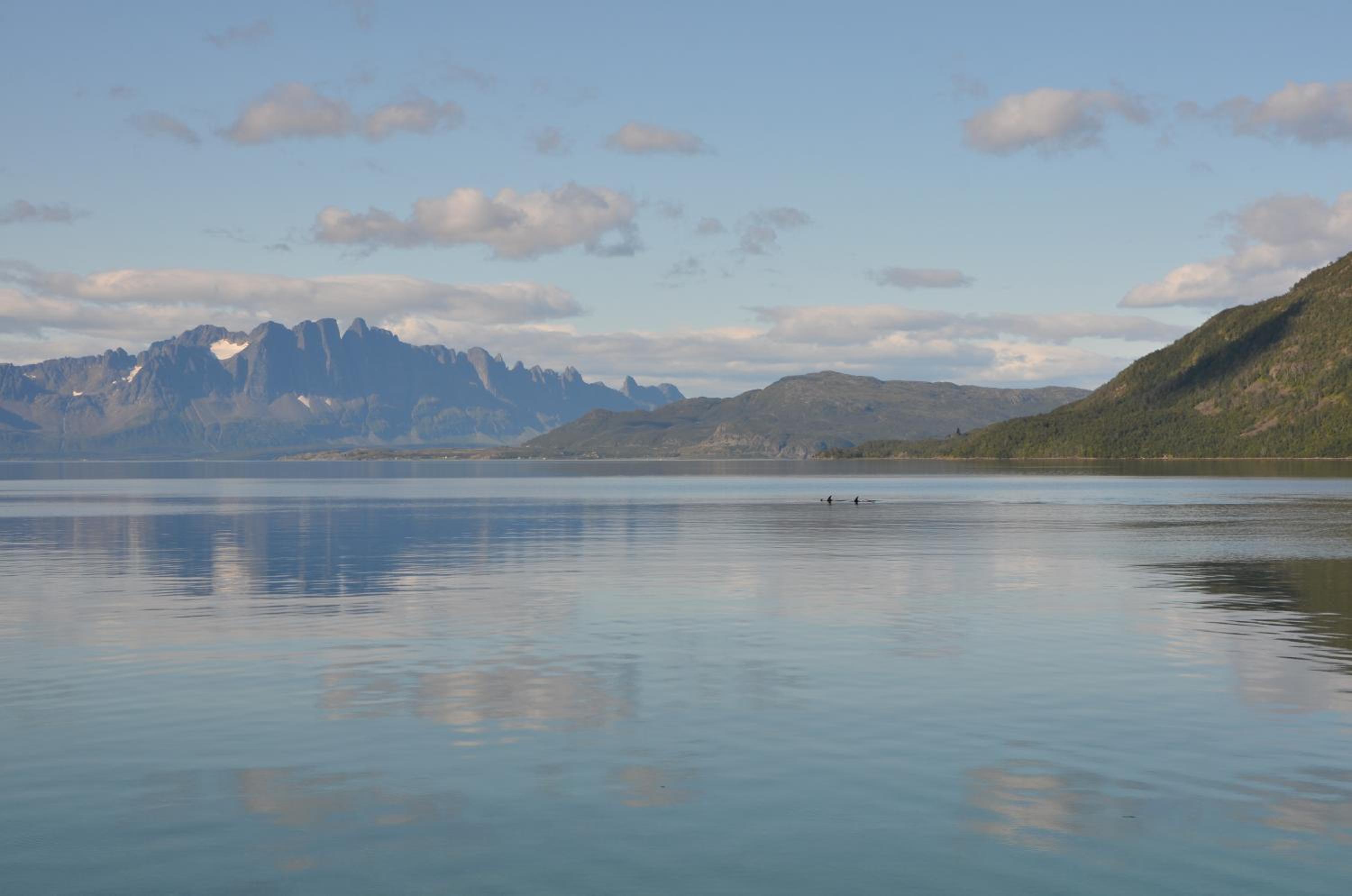 Arctic FjordCamp