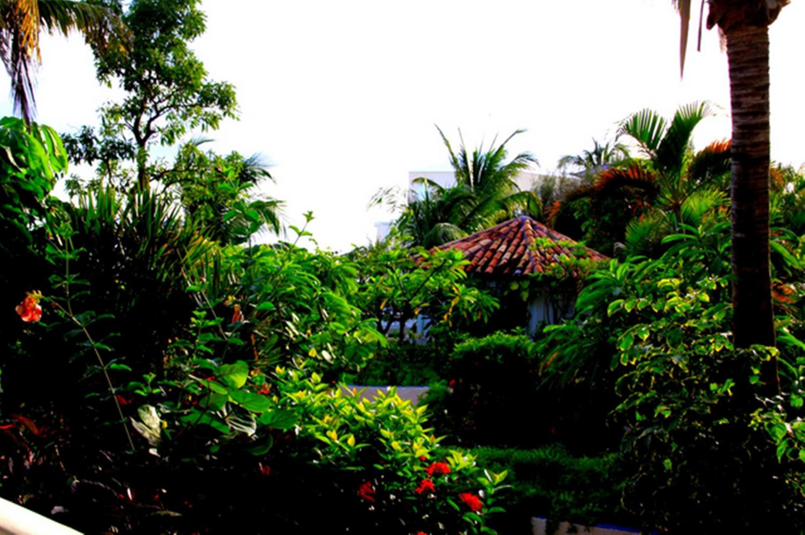 Sapphire Beach Resort view 4