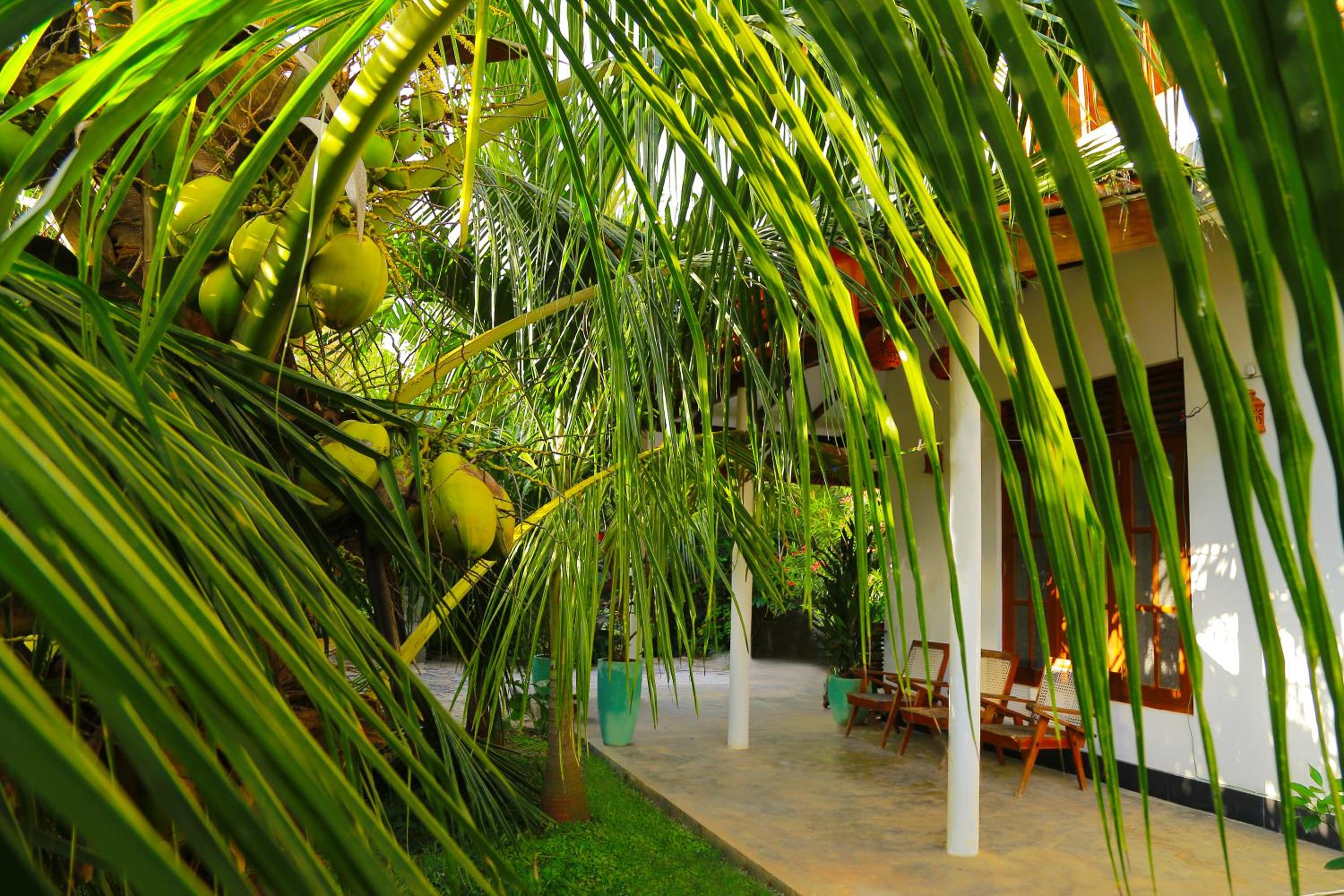 Photo 90