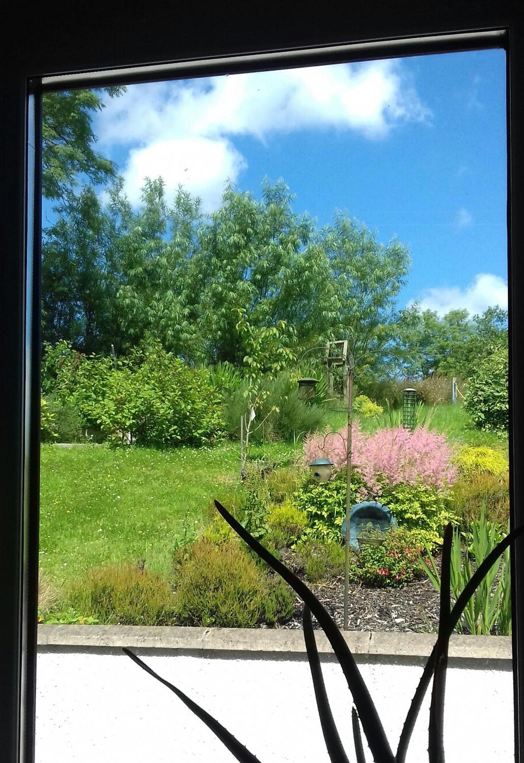 Goldenhill Guesthouse