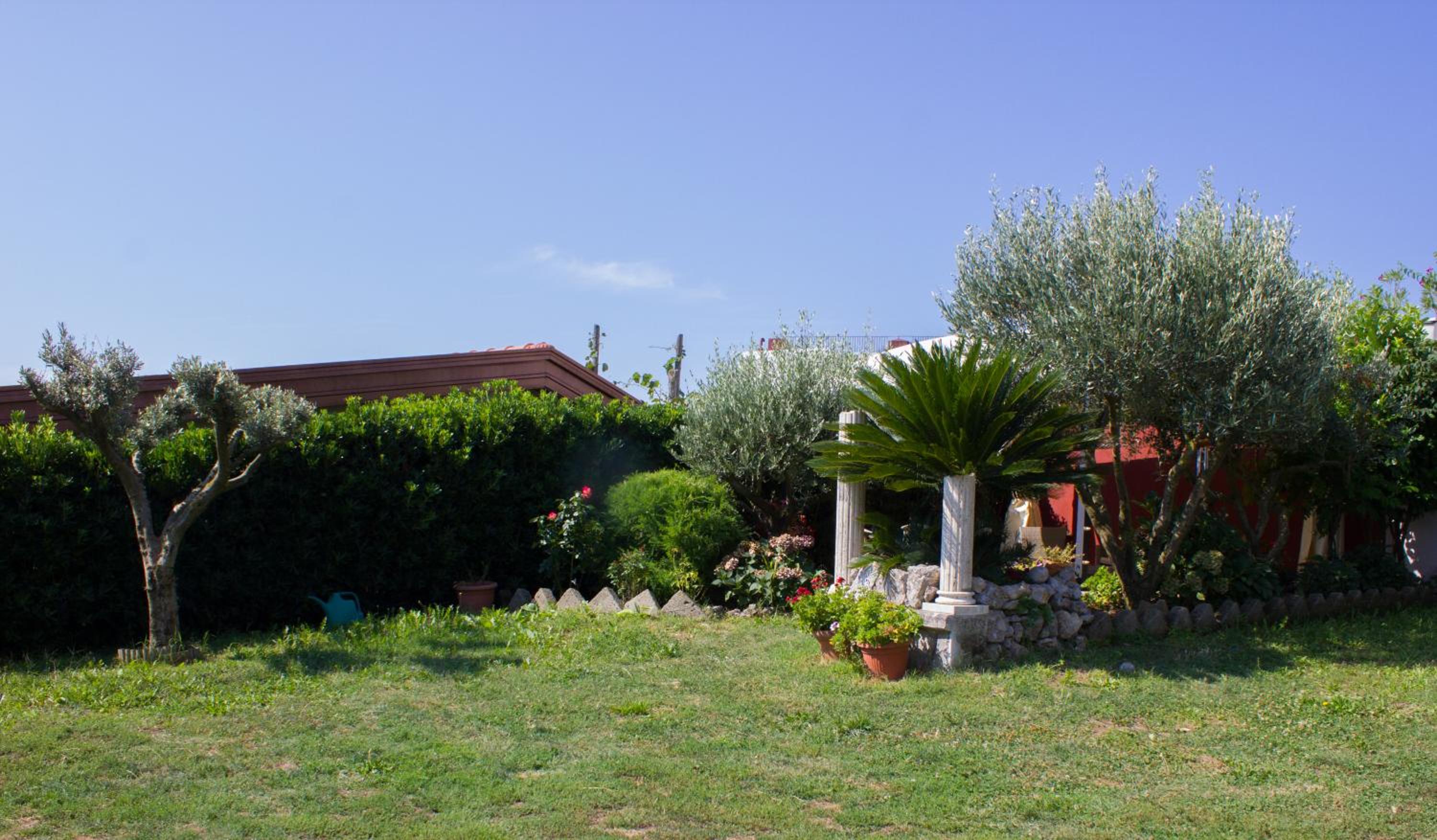 Photo 10