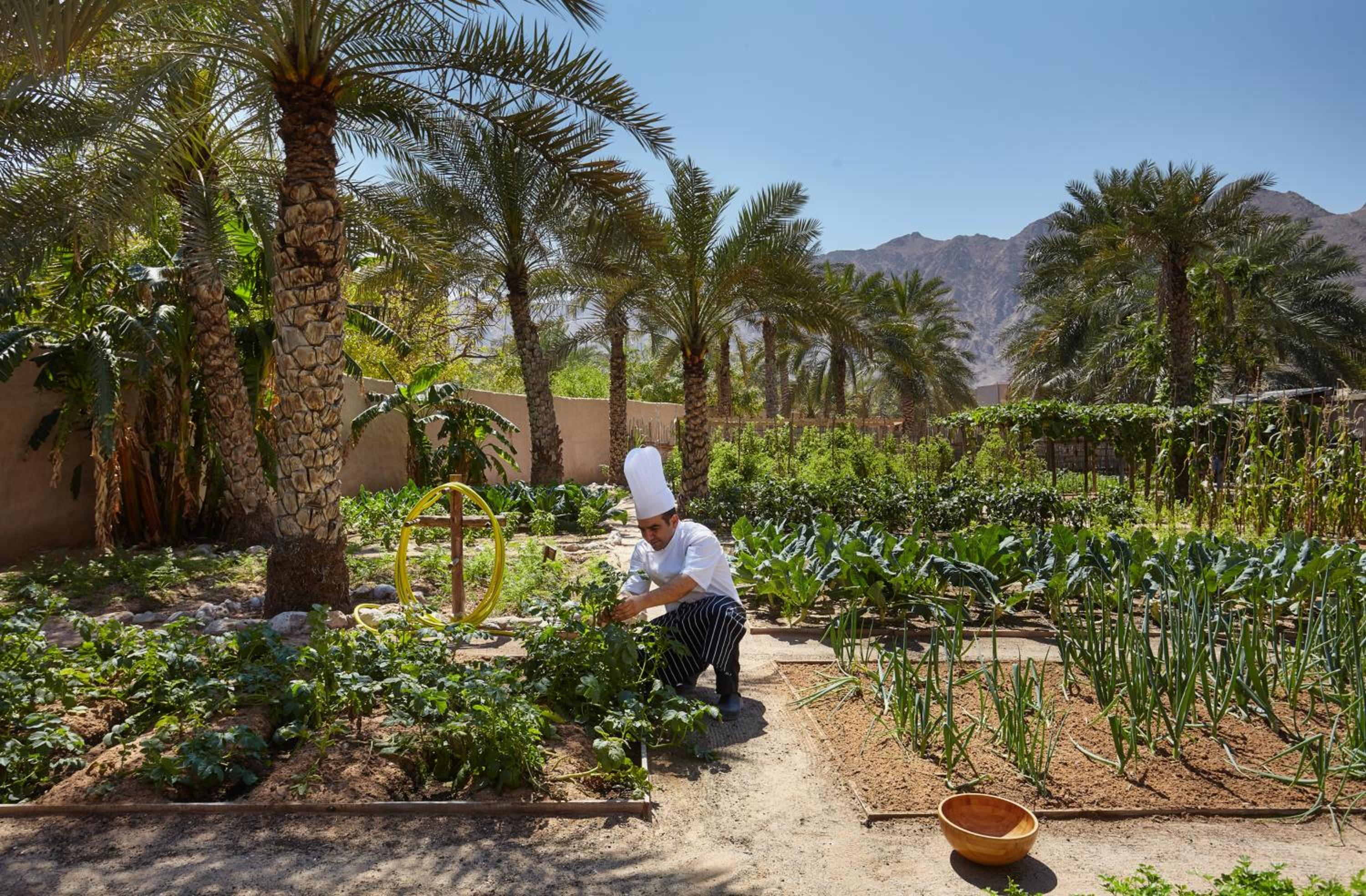 Six Senses Zighy Bay — photo 166