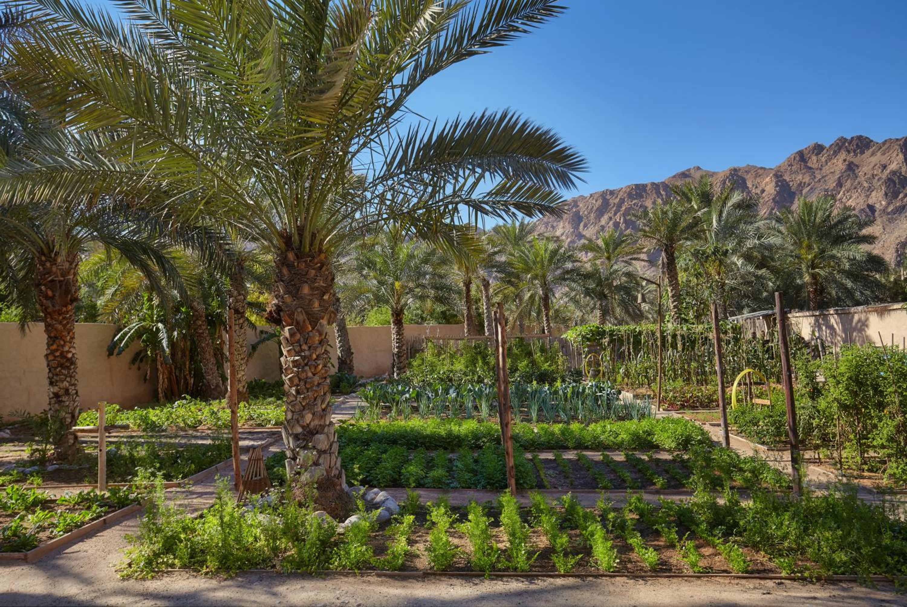 Six Senses Zighy Bay — photo 112