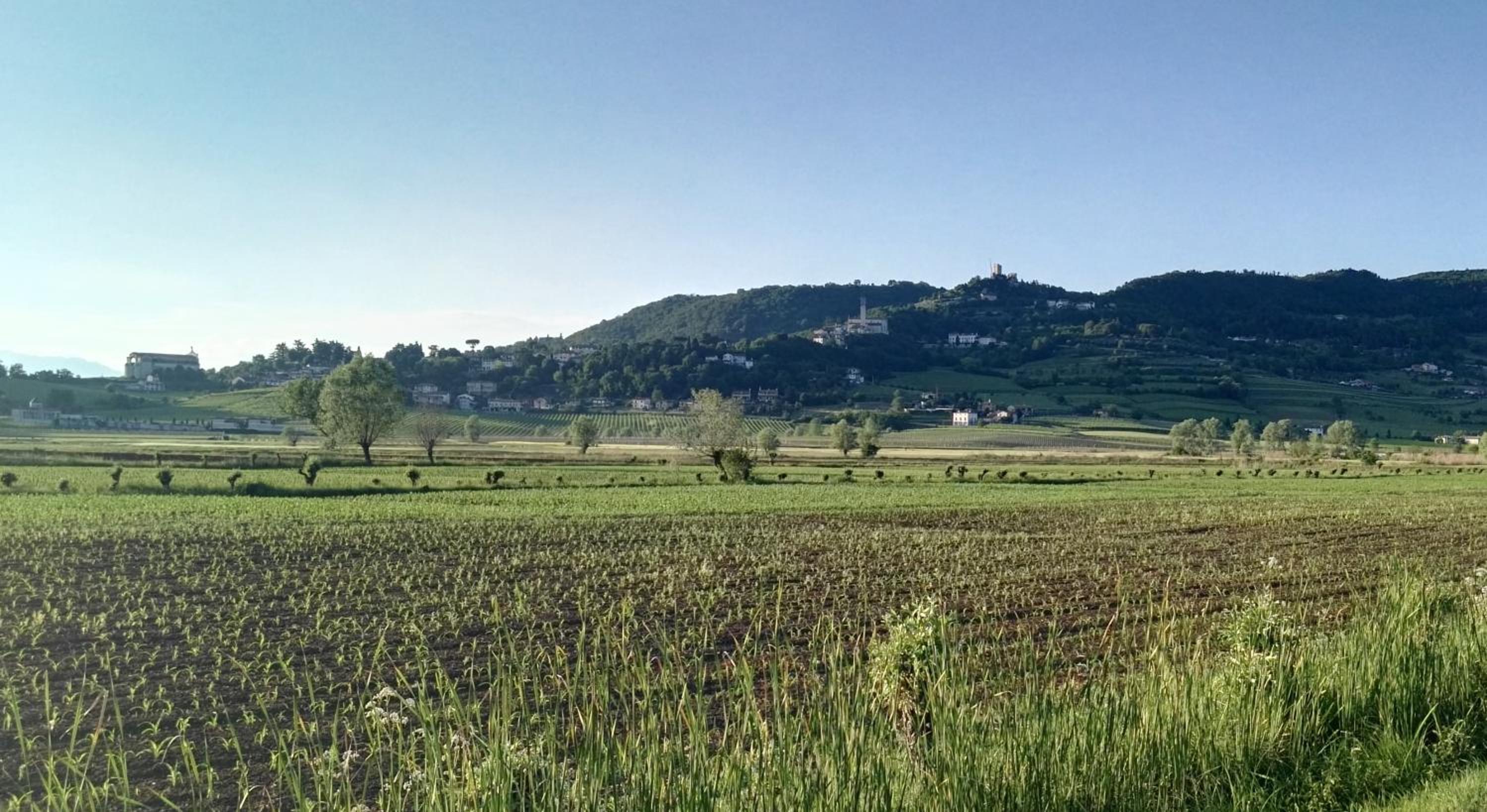La Pergola Alloggio view 5