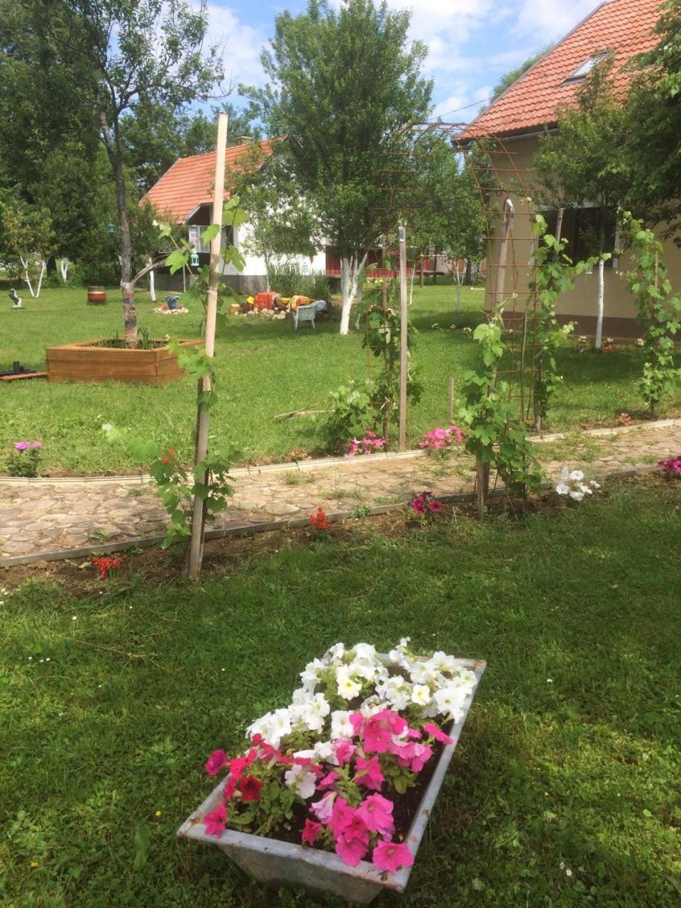 Photo 26