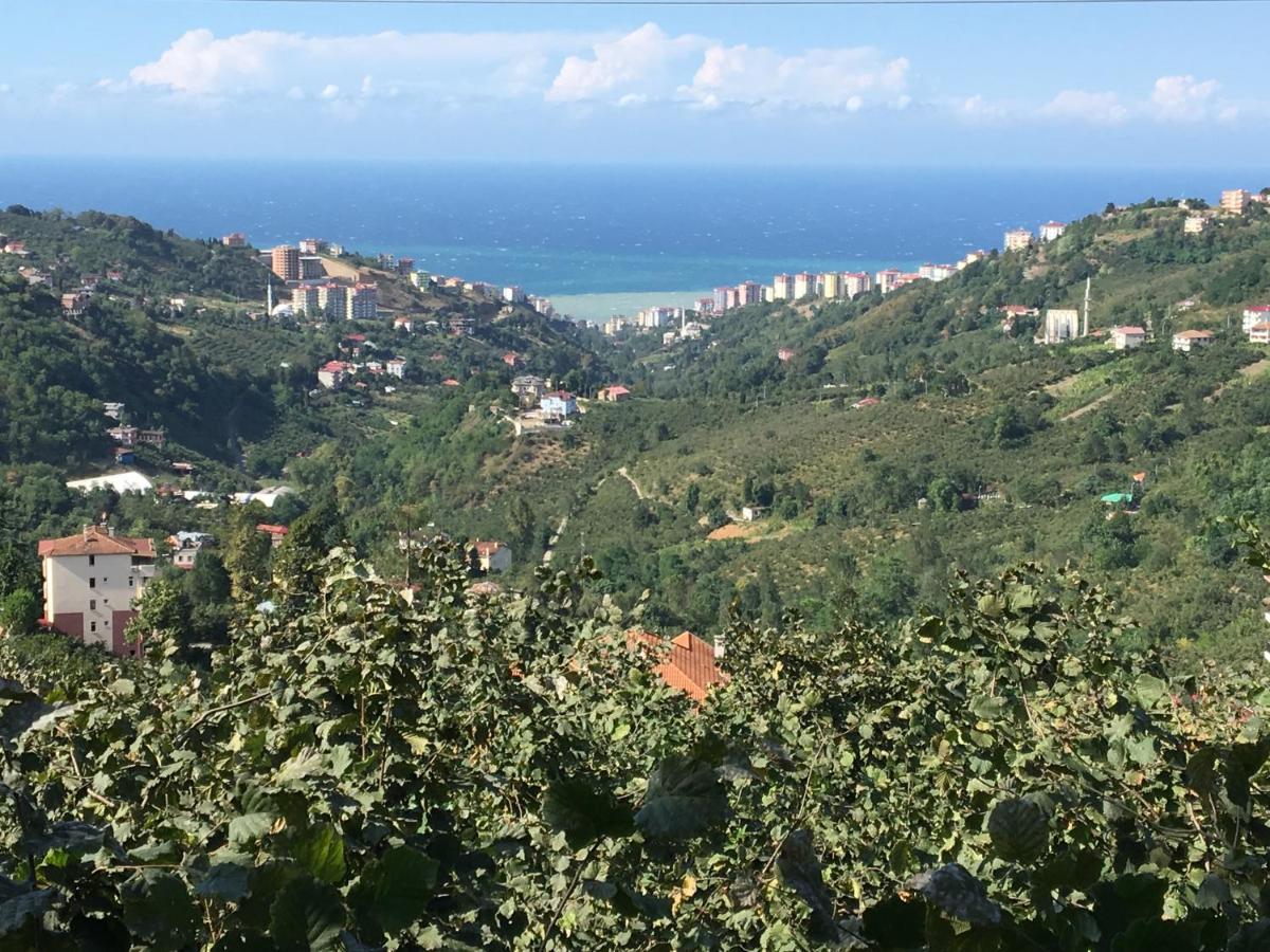 Villa Banizo Great Black Sea View Village House view 3