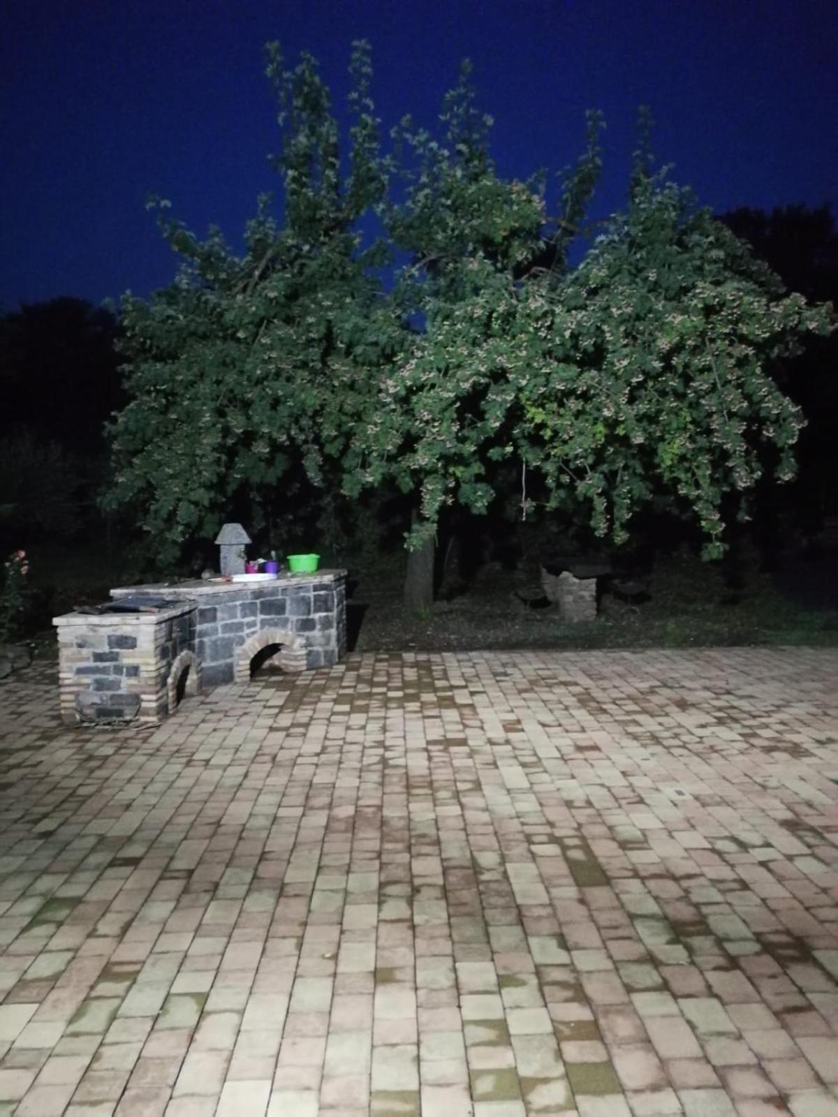 Photo 28