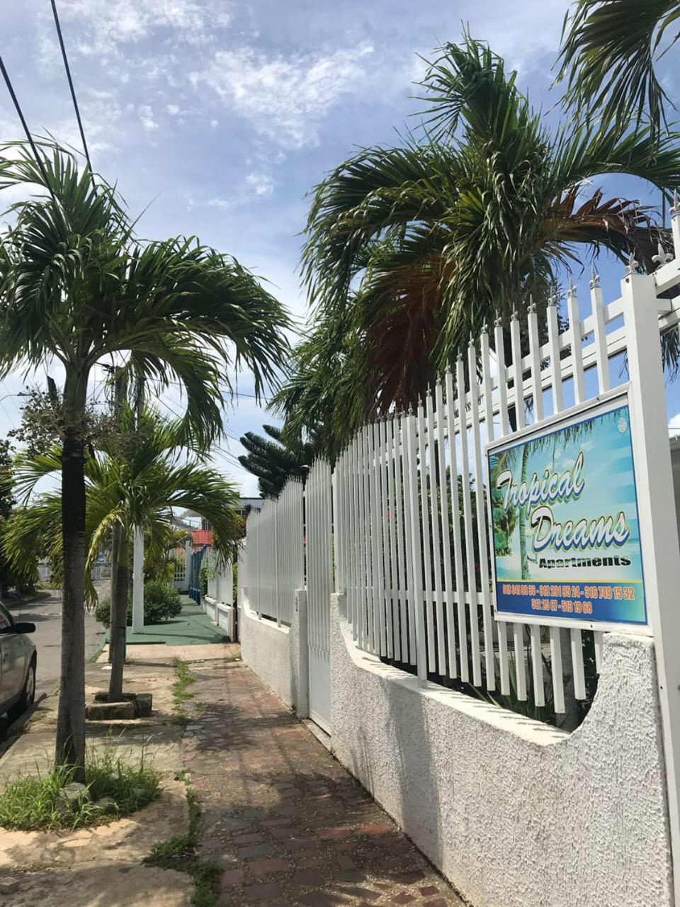 Tropical Dreams