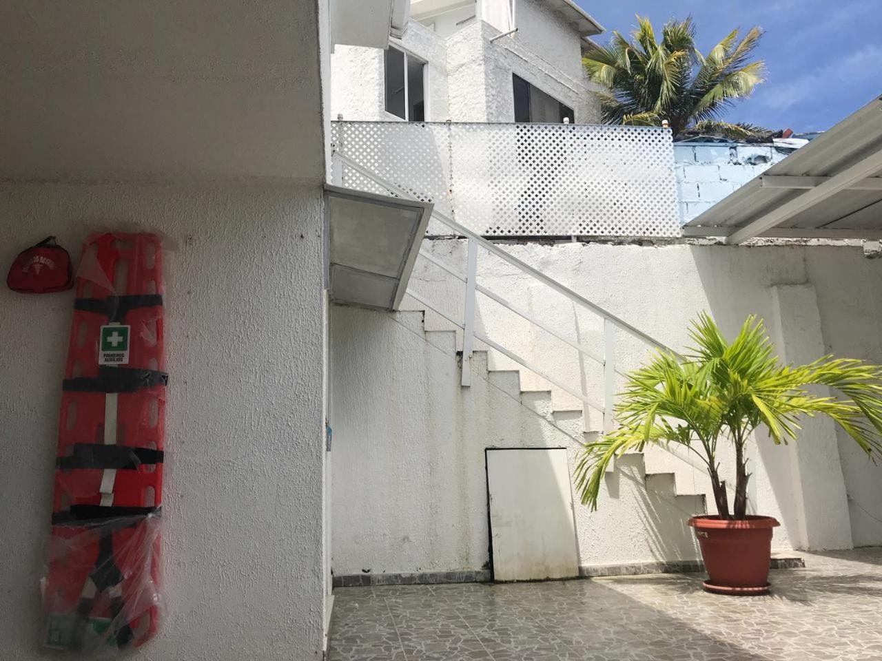 Tropical Dreams