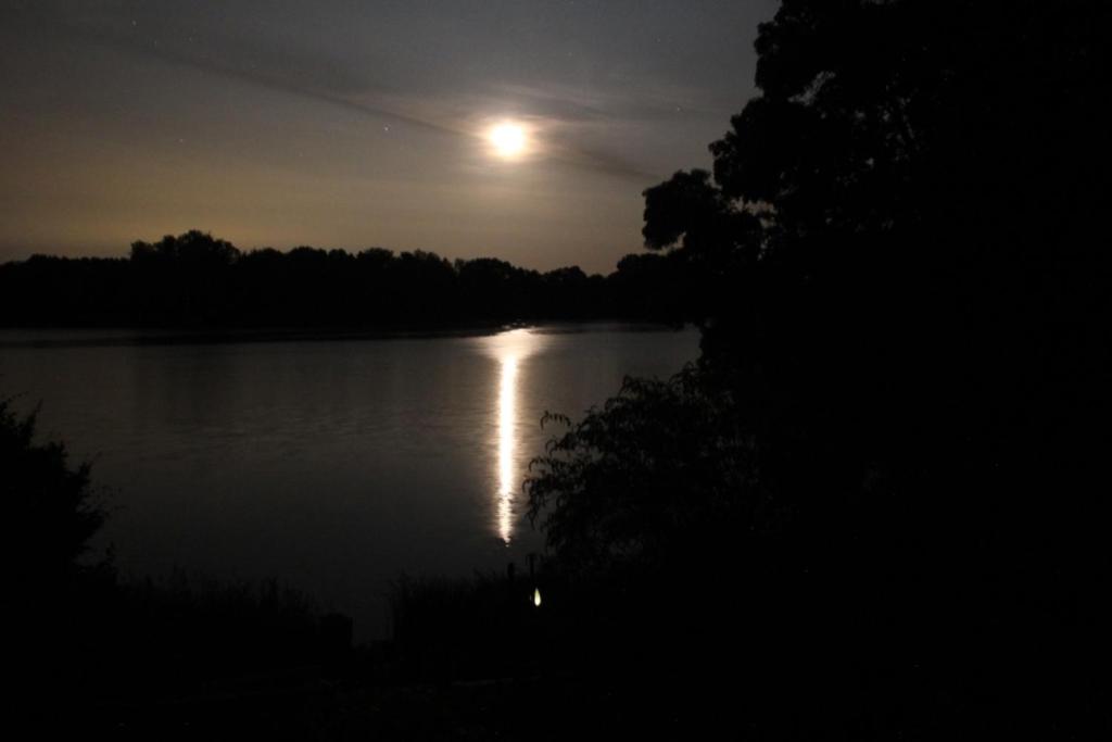 Photo 40