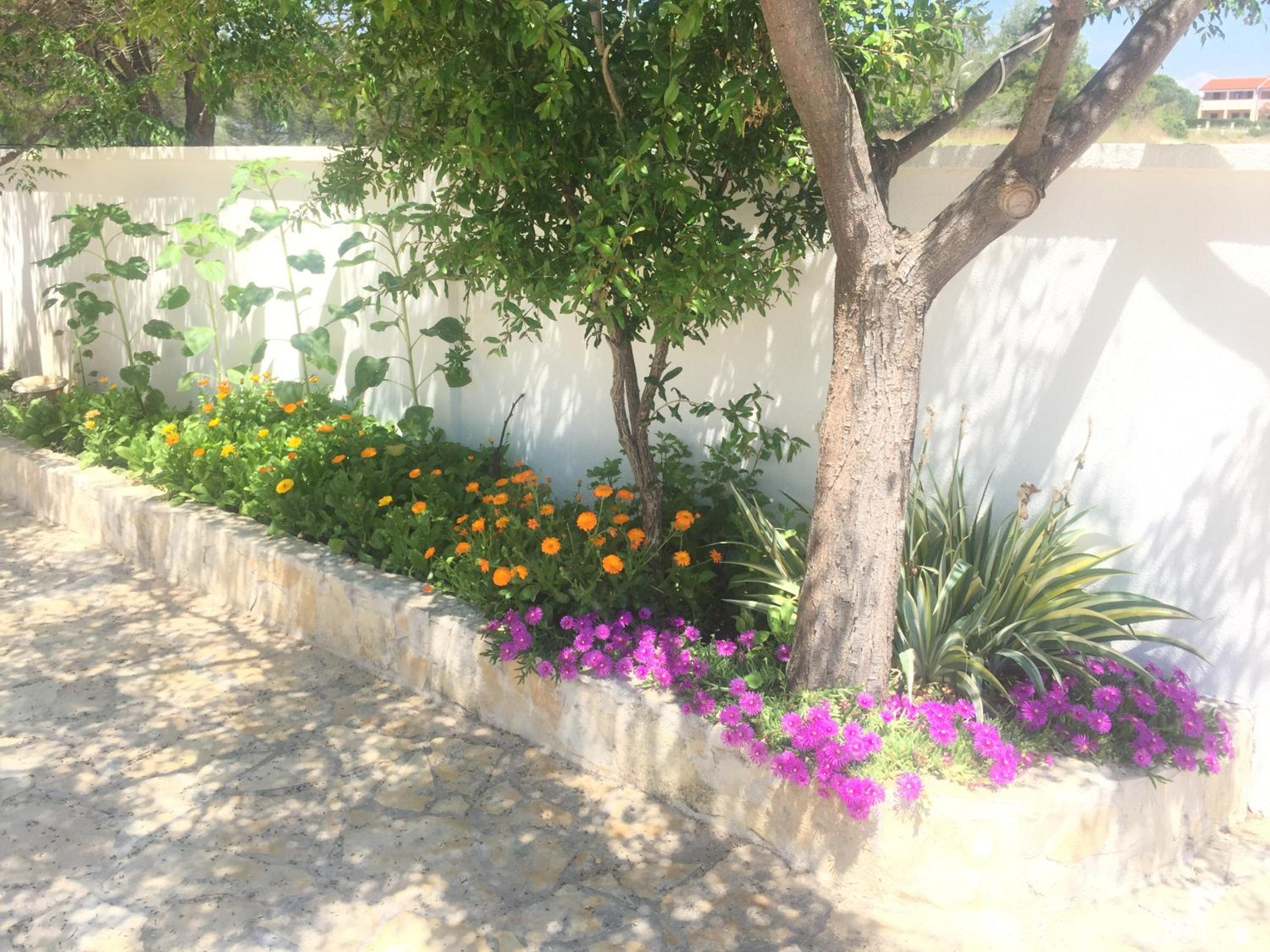 Marija Apartment view 2