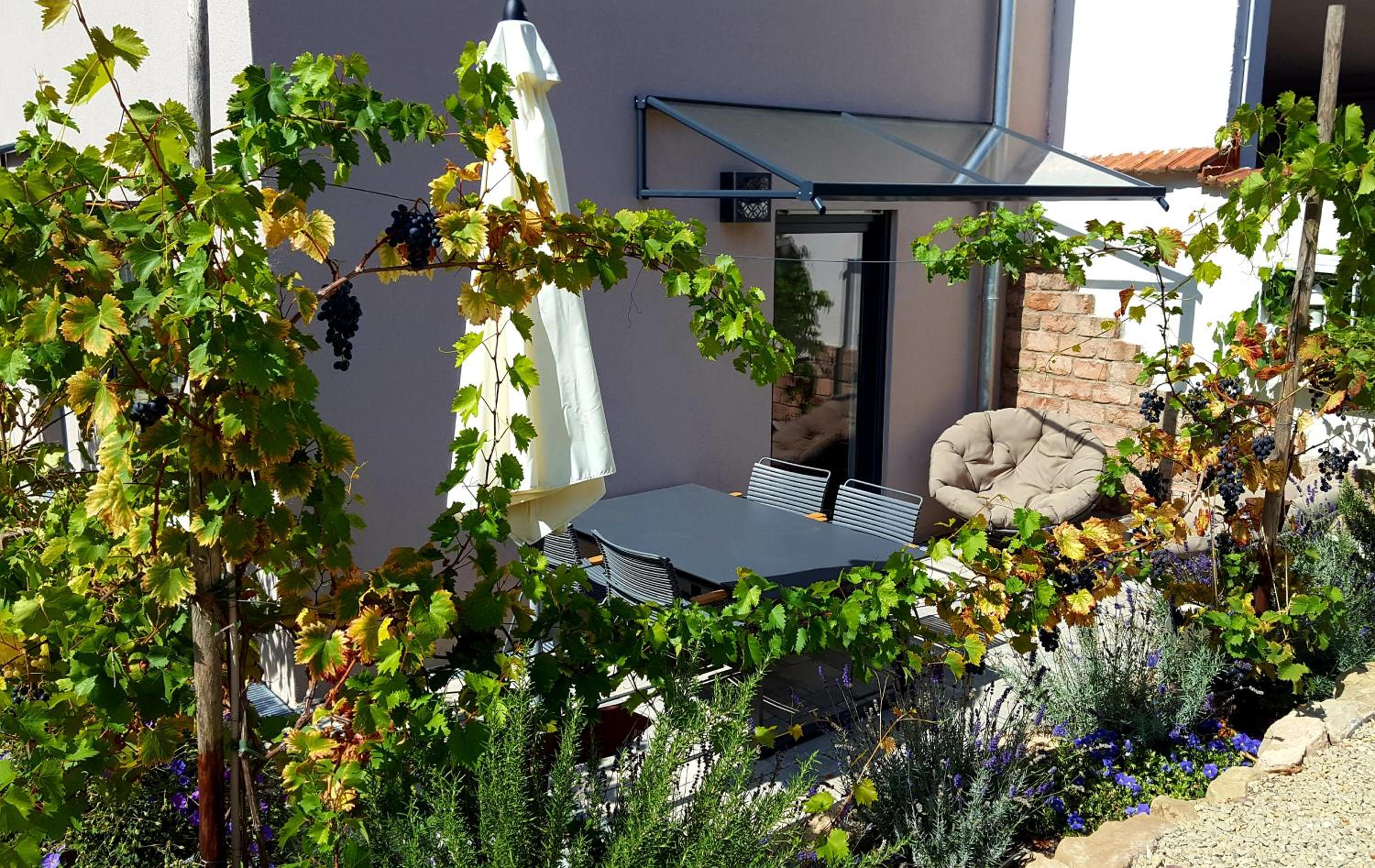 Zur alten Rebe Ferienhaus und Weingut