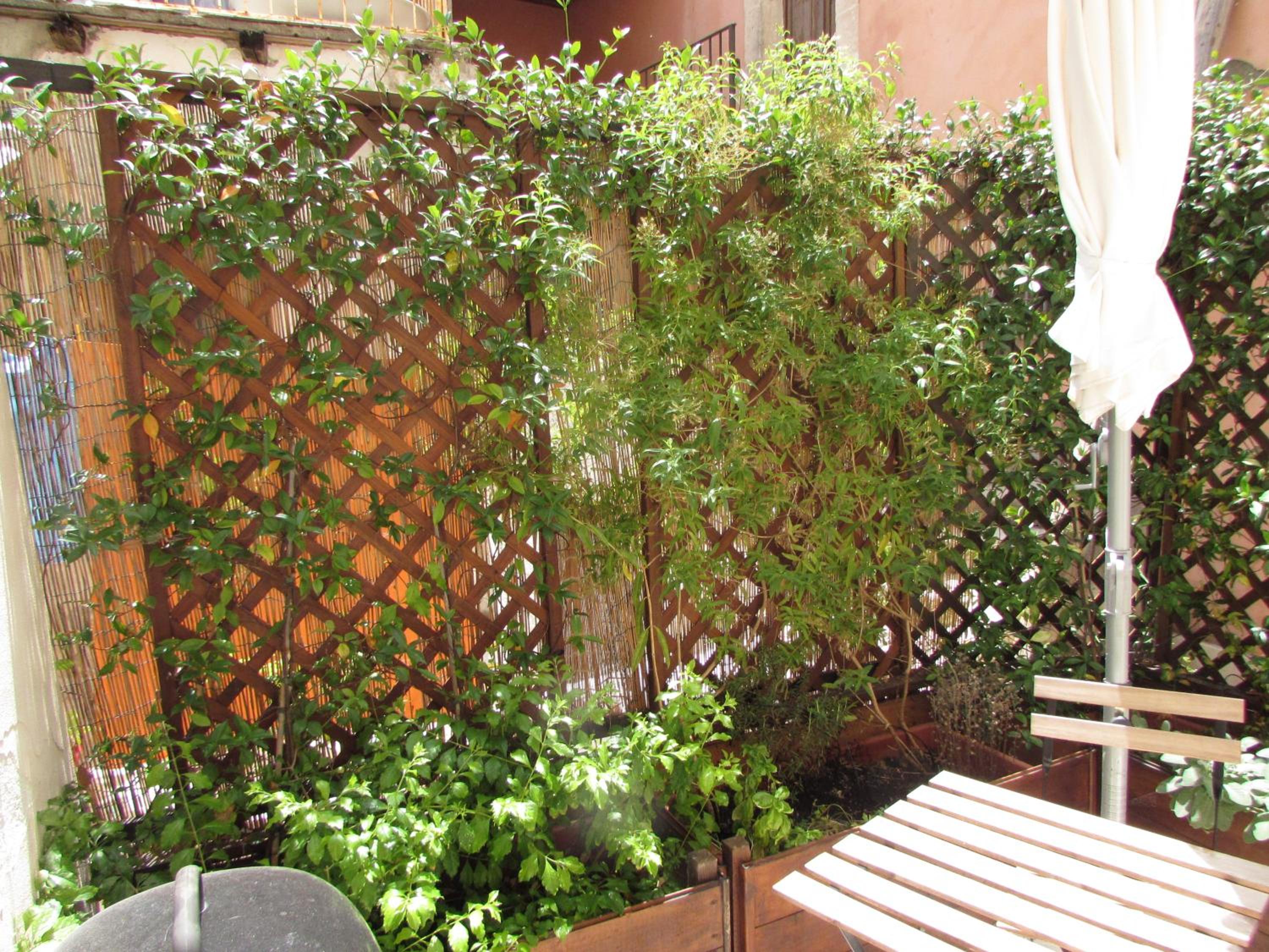 Ortigia Deluxe S.A.L. view 3