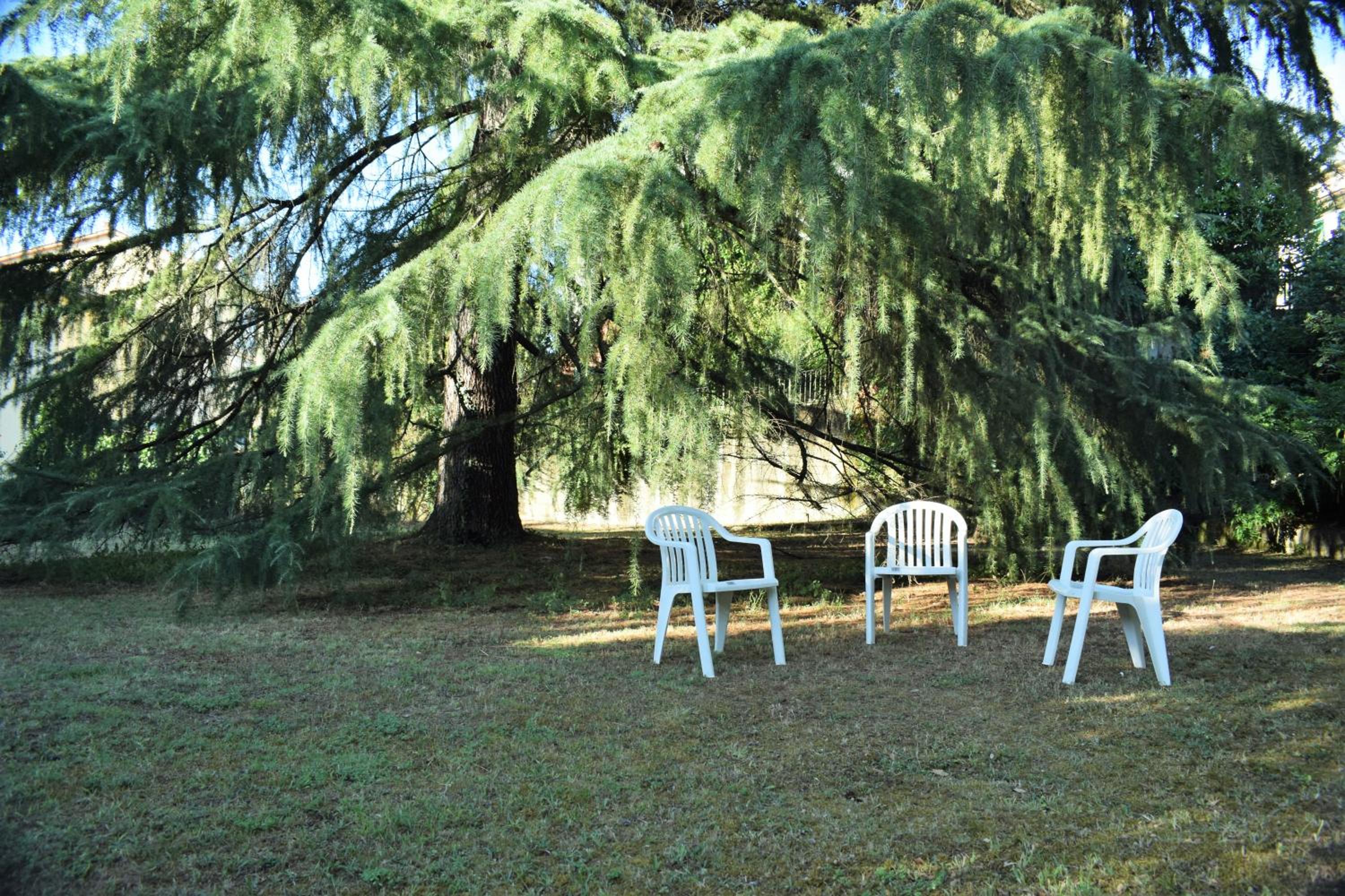 Photo 47